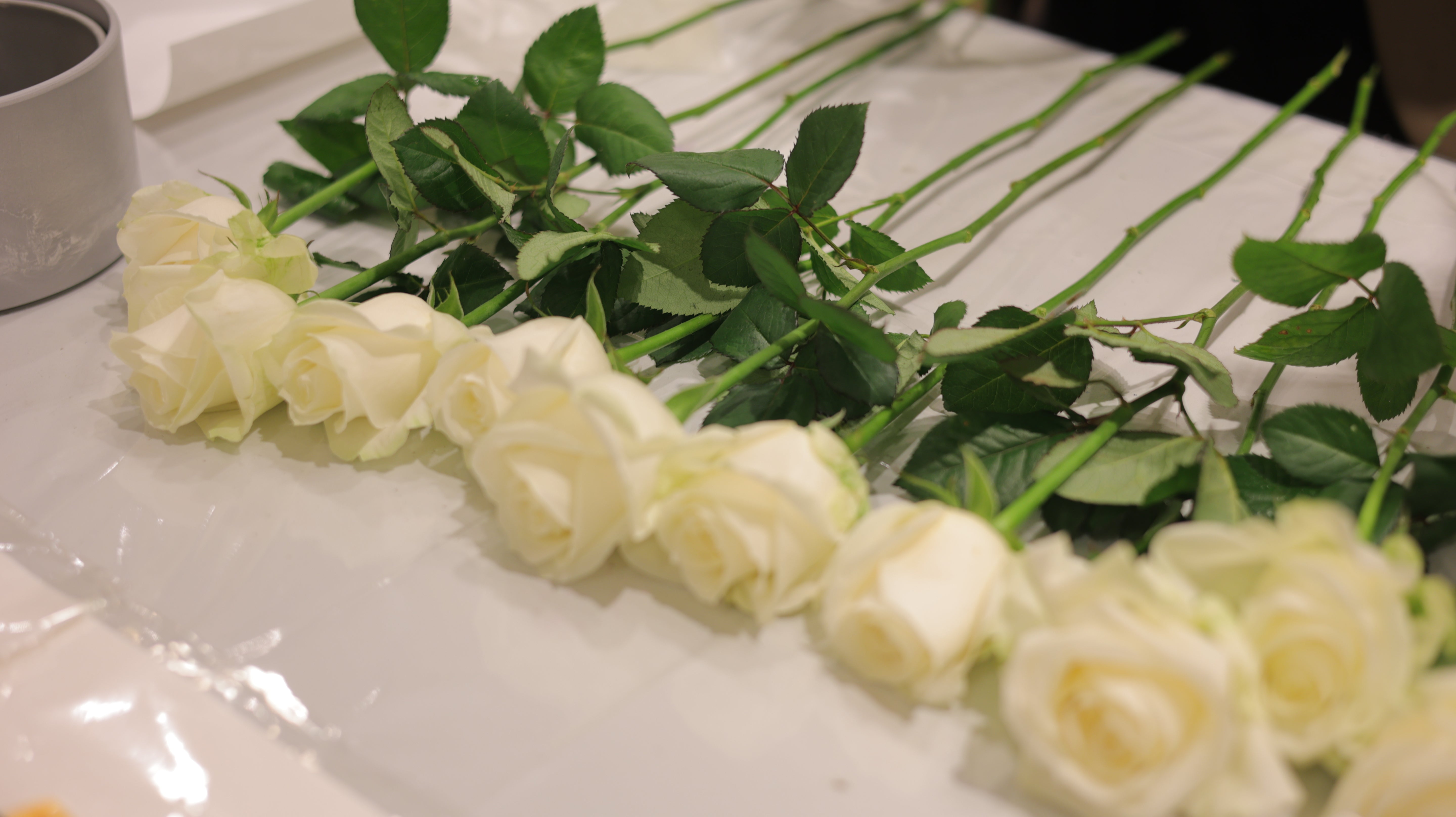 アドラブル ローズセレクション(白) ― 華やぎと静けさを併せ持つ、大輪の薔薇