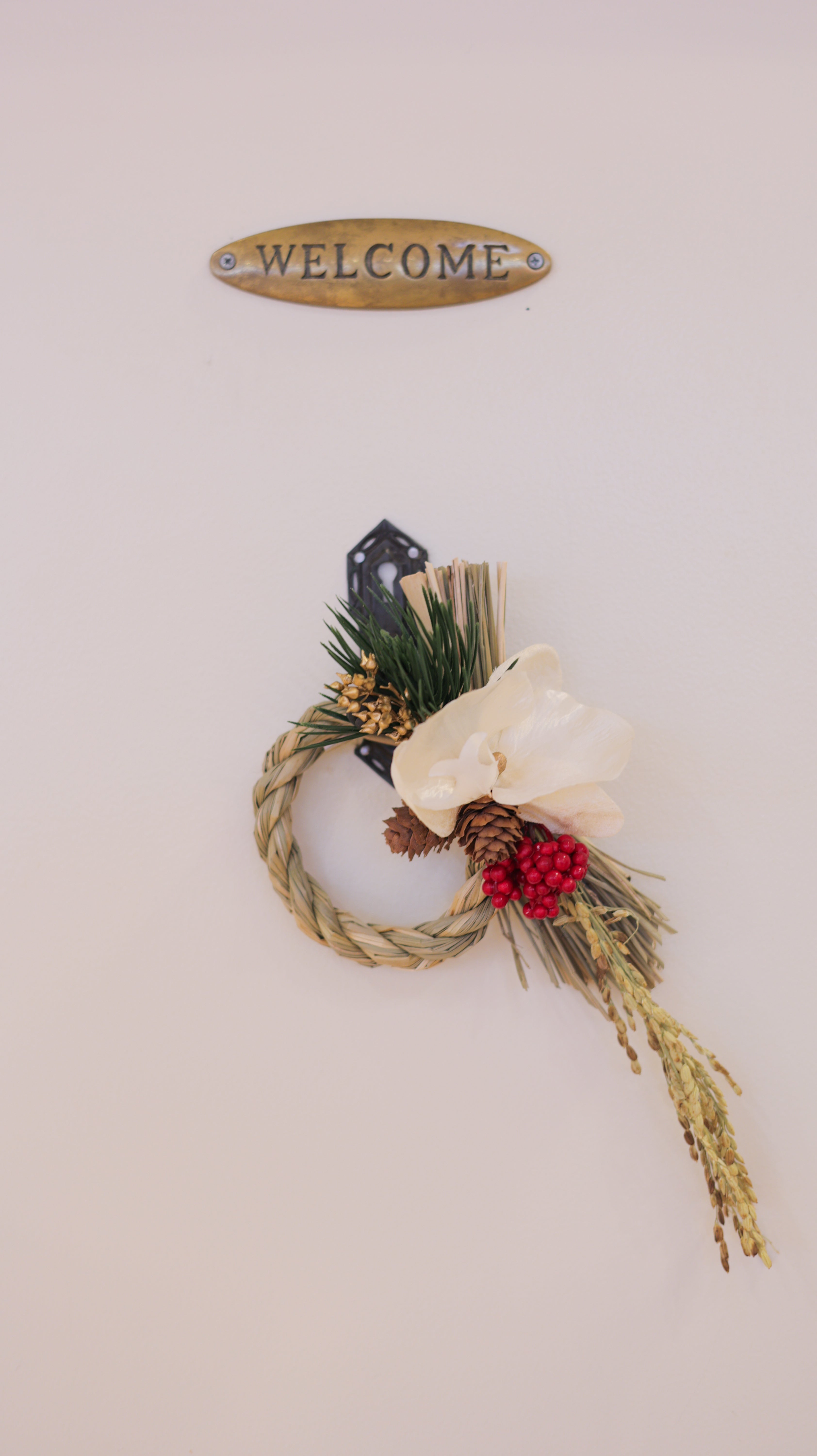 胡蝶蘭の華しめ縄 | Orchid Shimenawa