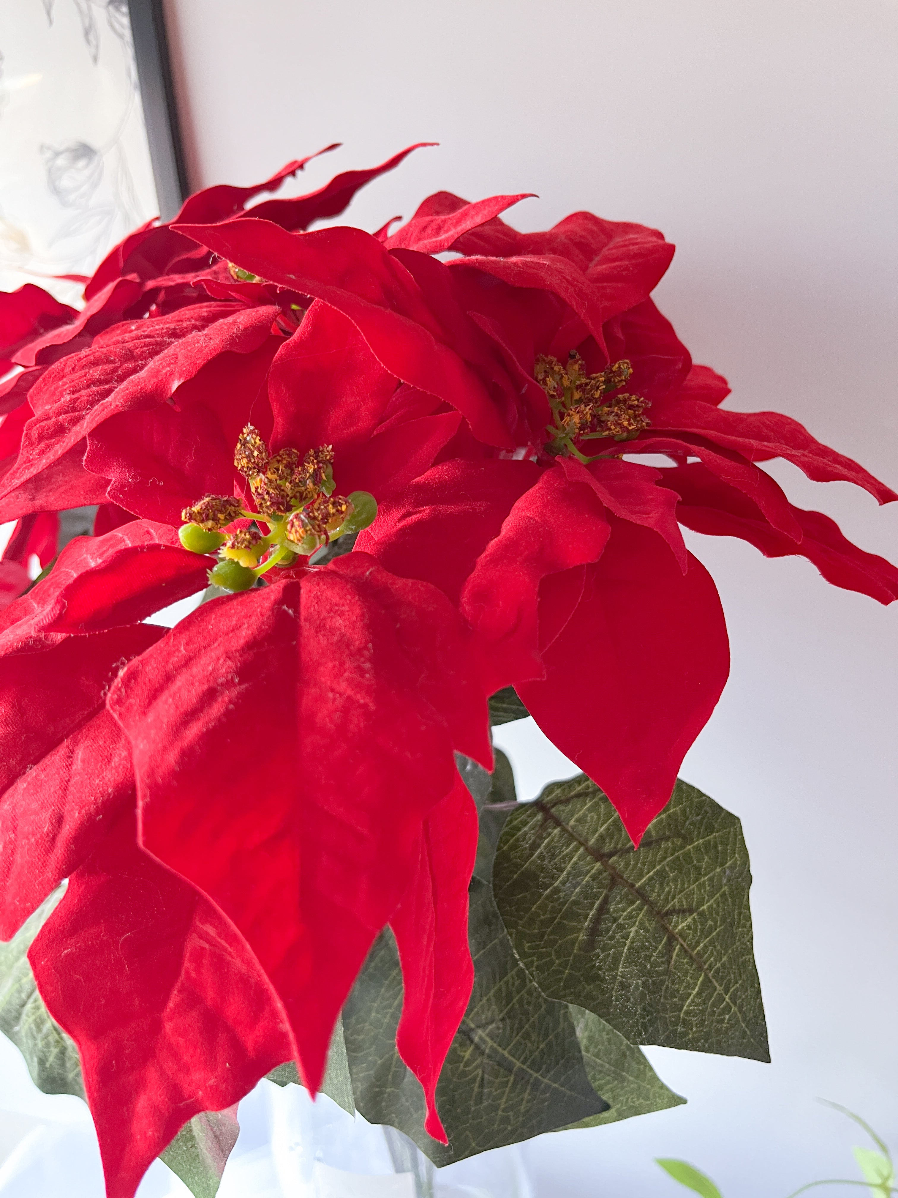 Poinsettia Rouge(ポインセチア・ルージュ)|アーティフィシャルフラワー