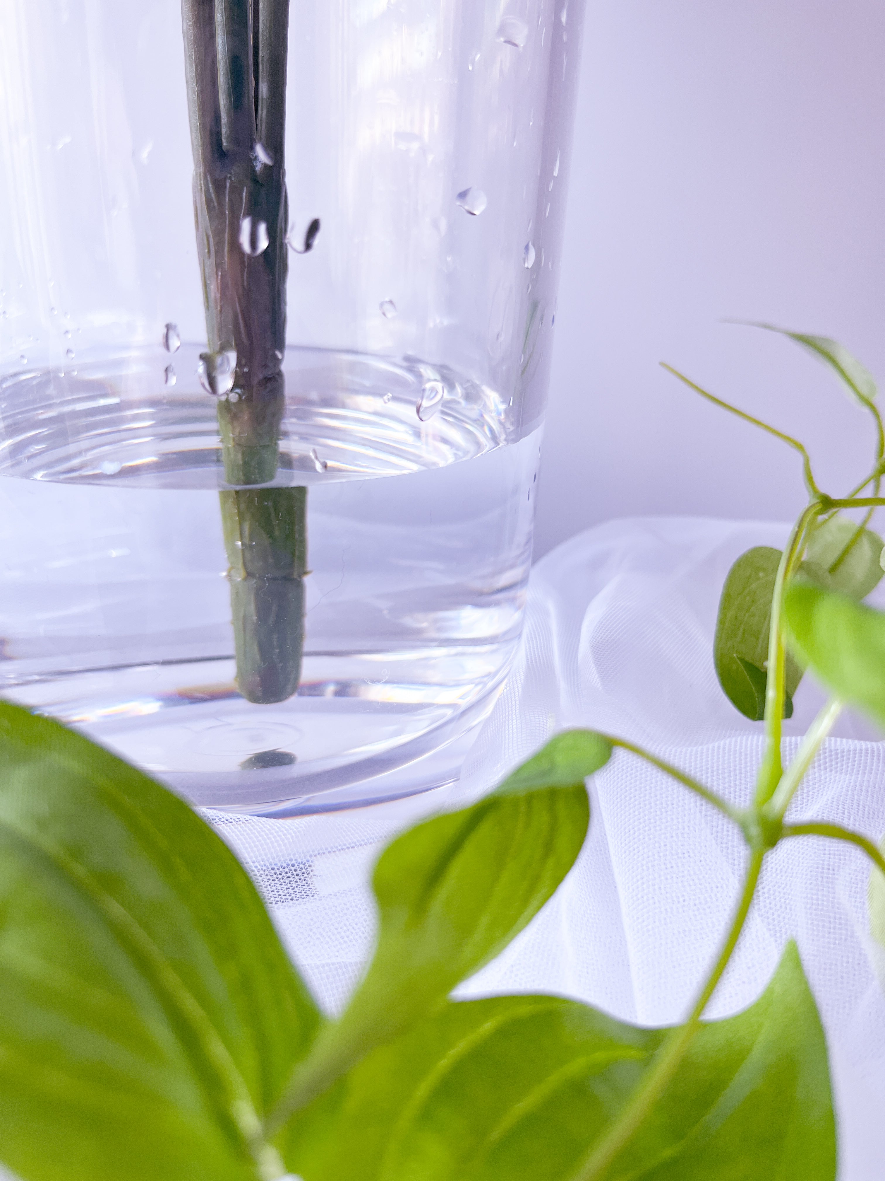 Poinsettia Rouge(ポインセチア・ルージュ)|アーティフィシャルフラワー