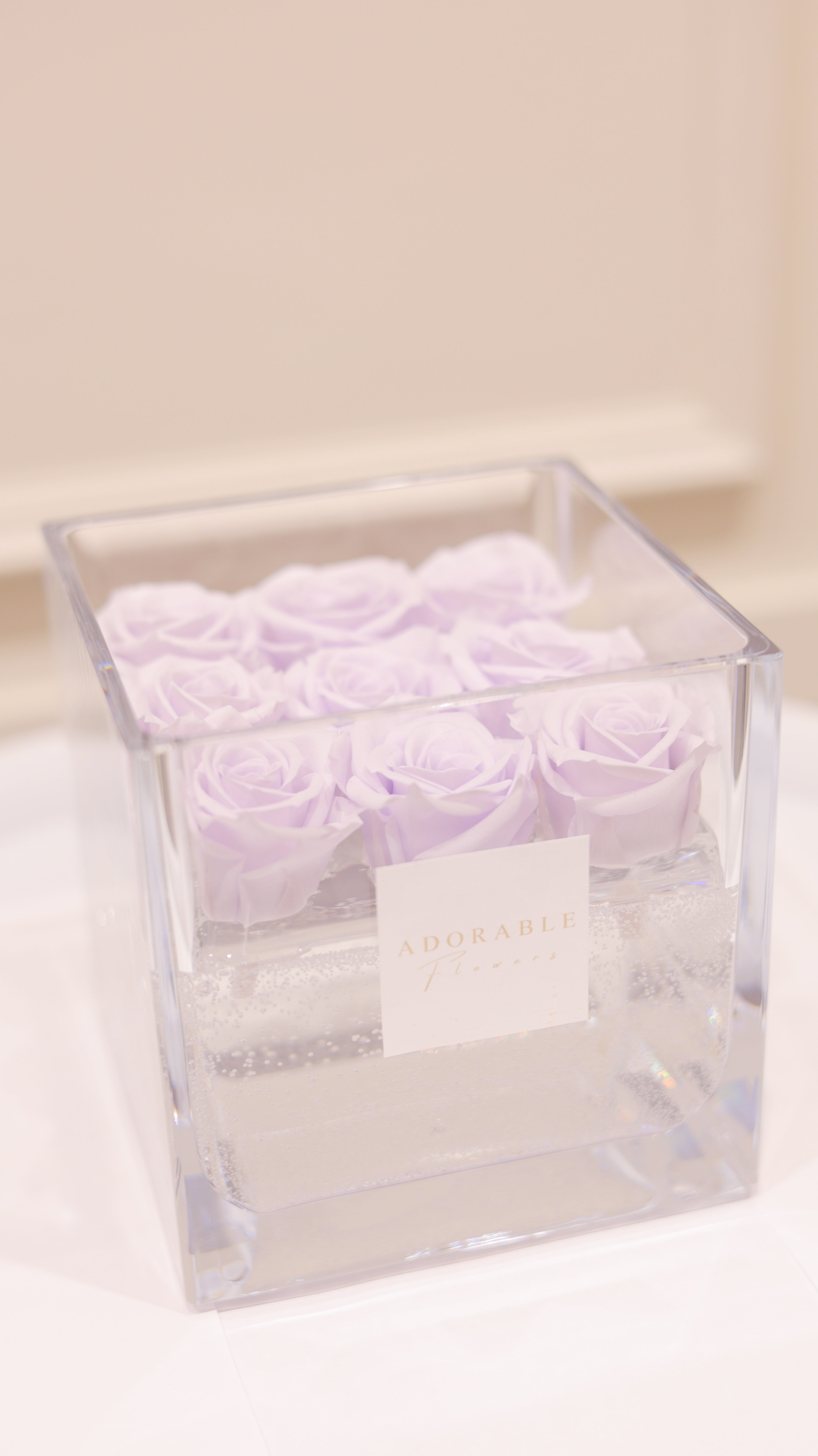 CREA Champagne Lilas Noble(リラ・ノーブル)