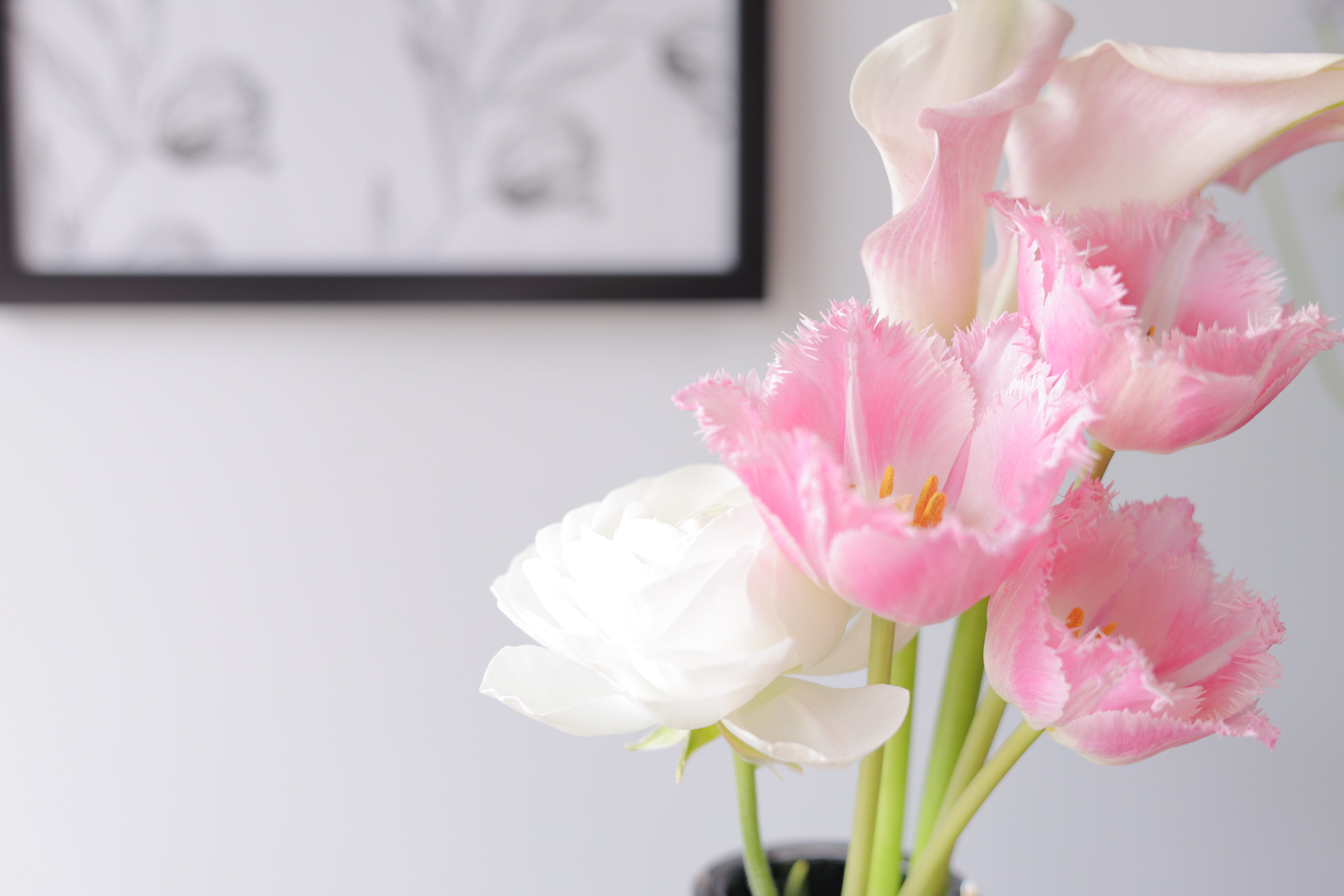 おすそわけ花 4/18分