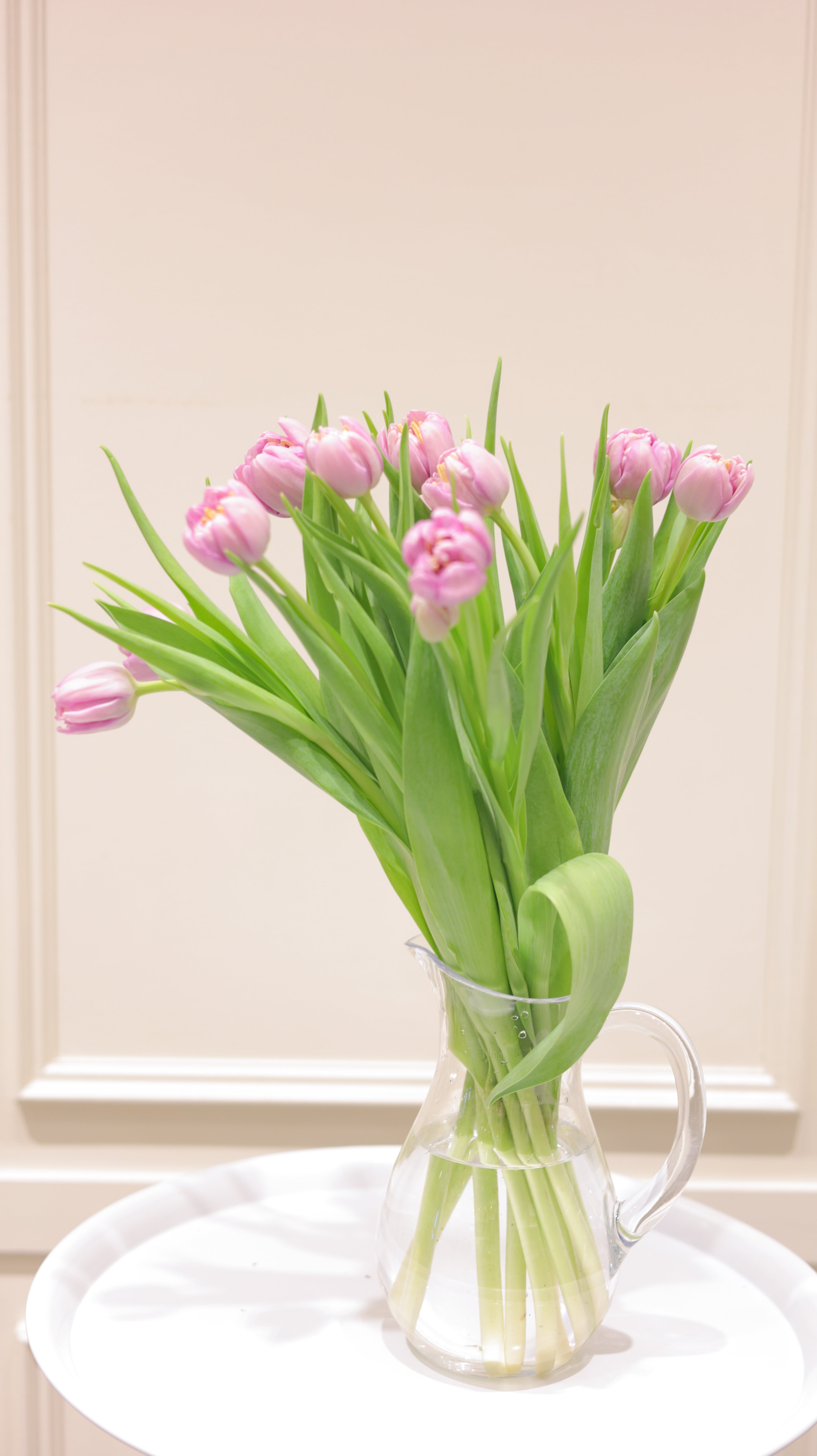 【3月中旬まで】Adorable fresh Tulips|季節のチューリップ