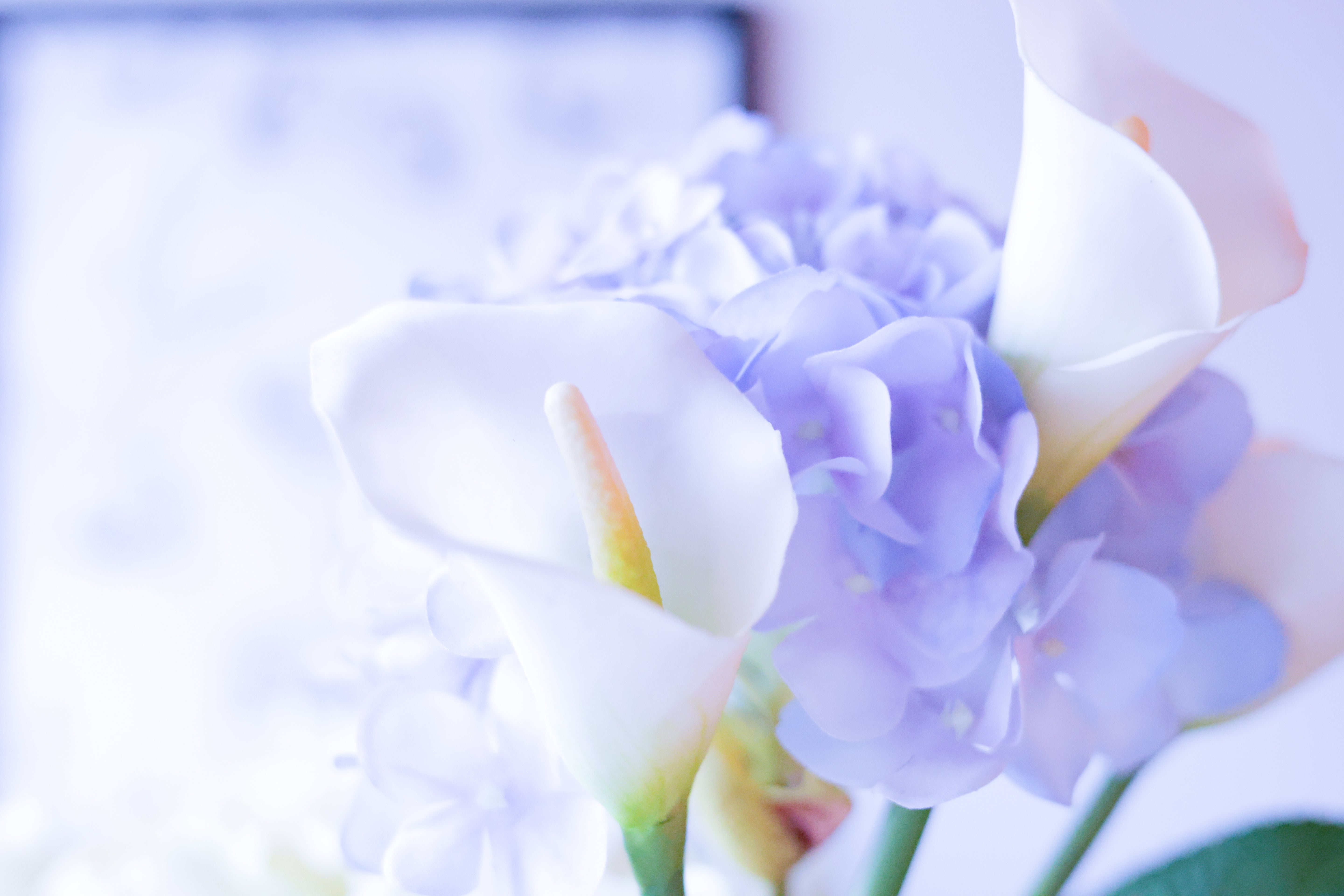 【ポストカード付き】紫陽花とカラーのブーケ