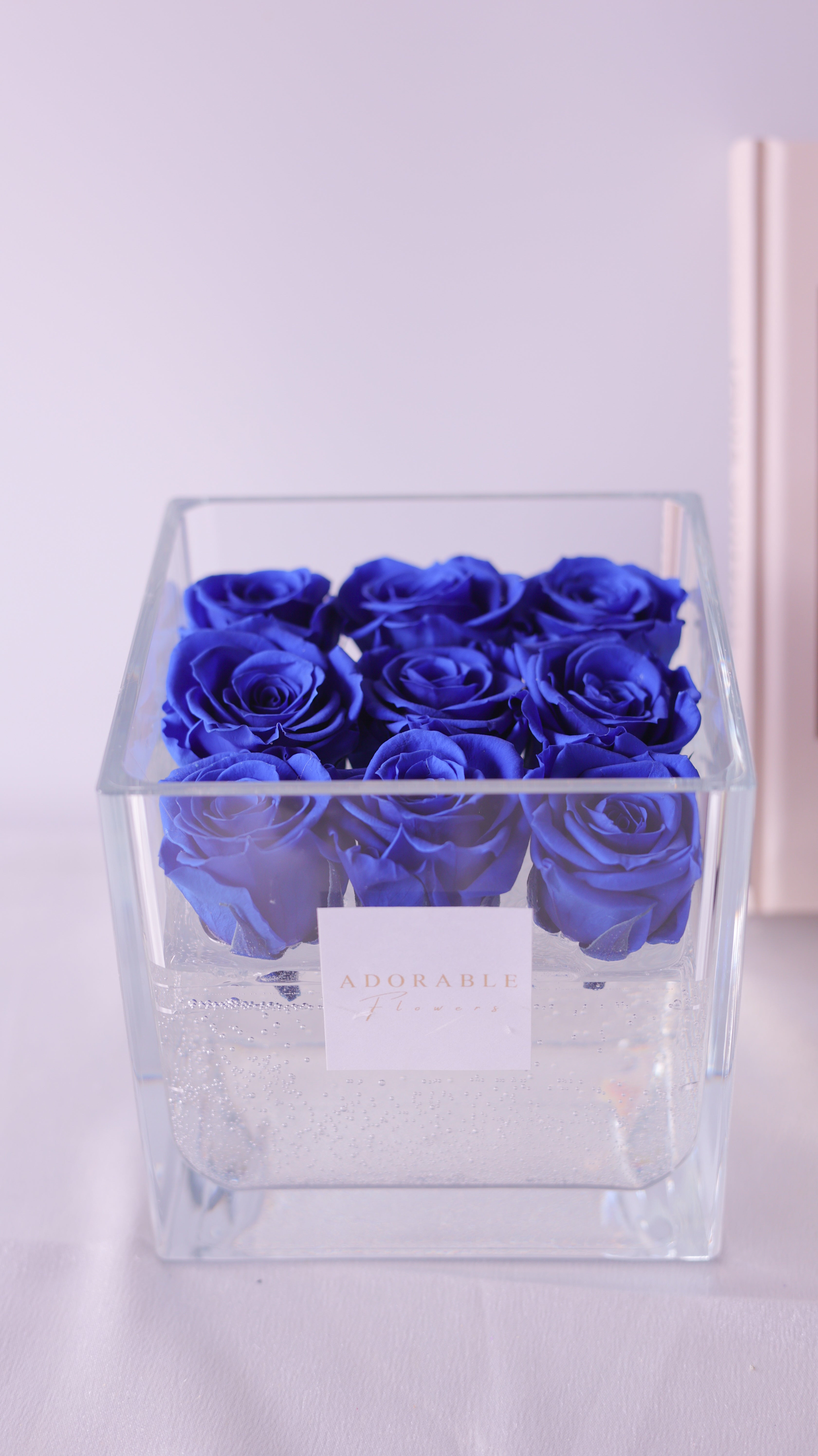 CREA Champagne Grand Bleu(グランブルー)