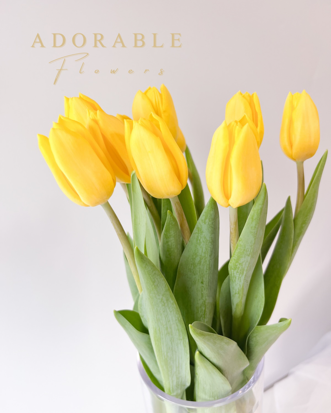 【割れない花瓶付き】チューリップ 10本 フローリストセレクト