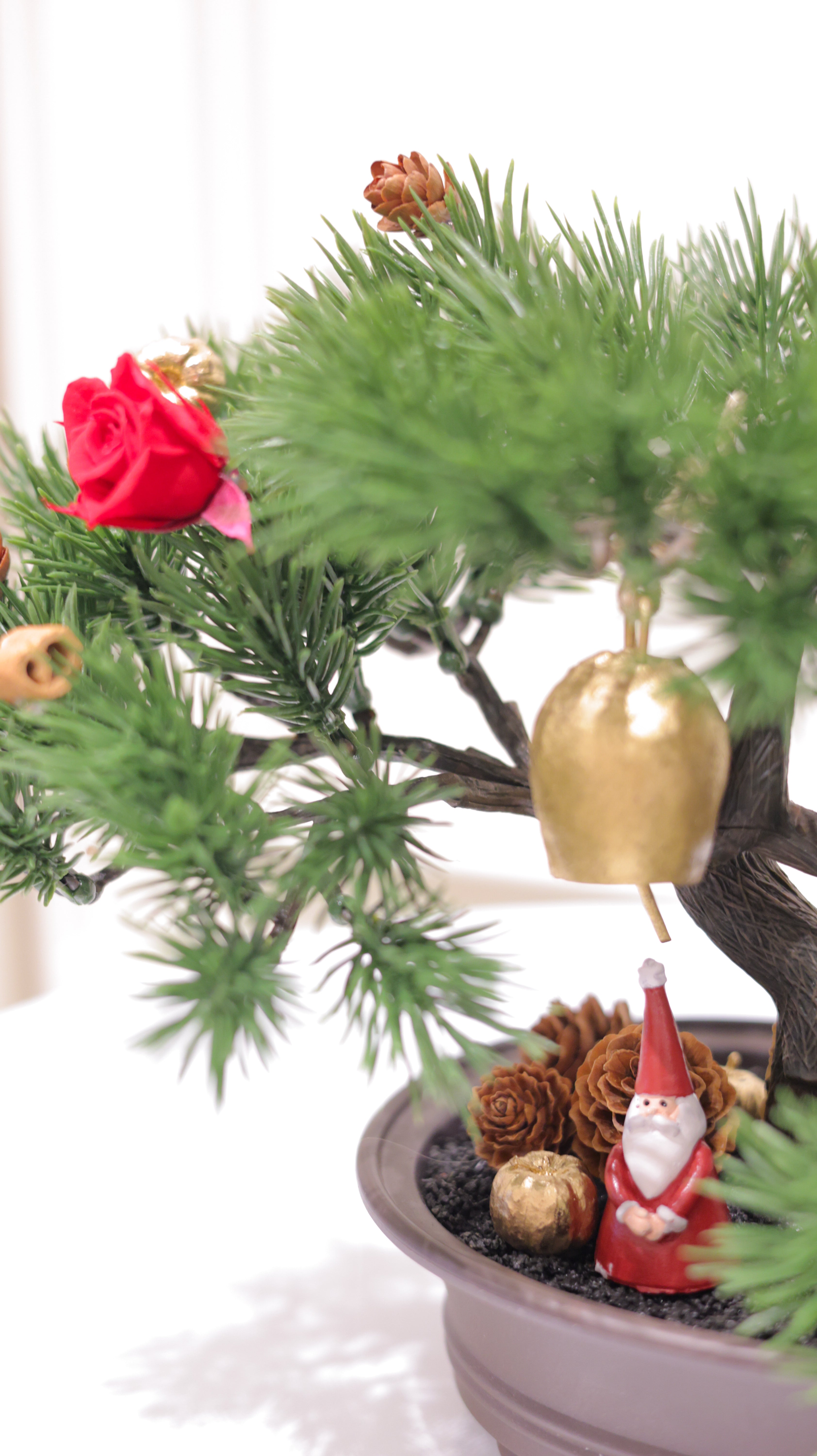 「Noël Bonsai クリスマス盆栽 | アーティフィシャルグリーン