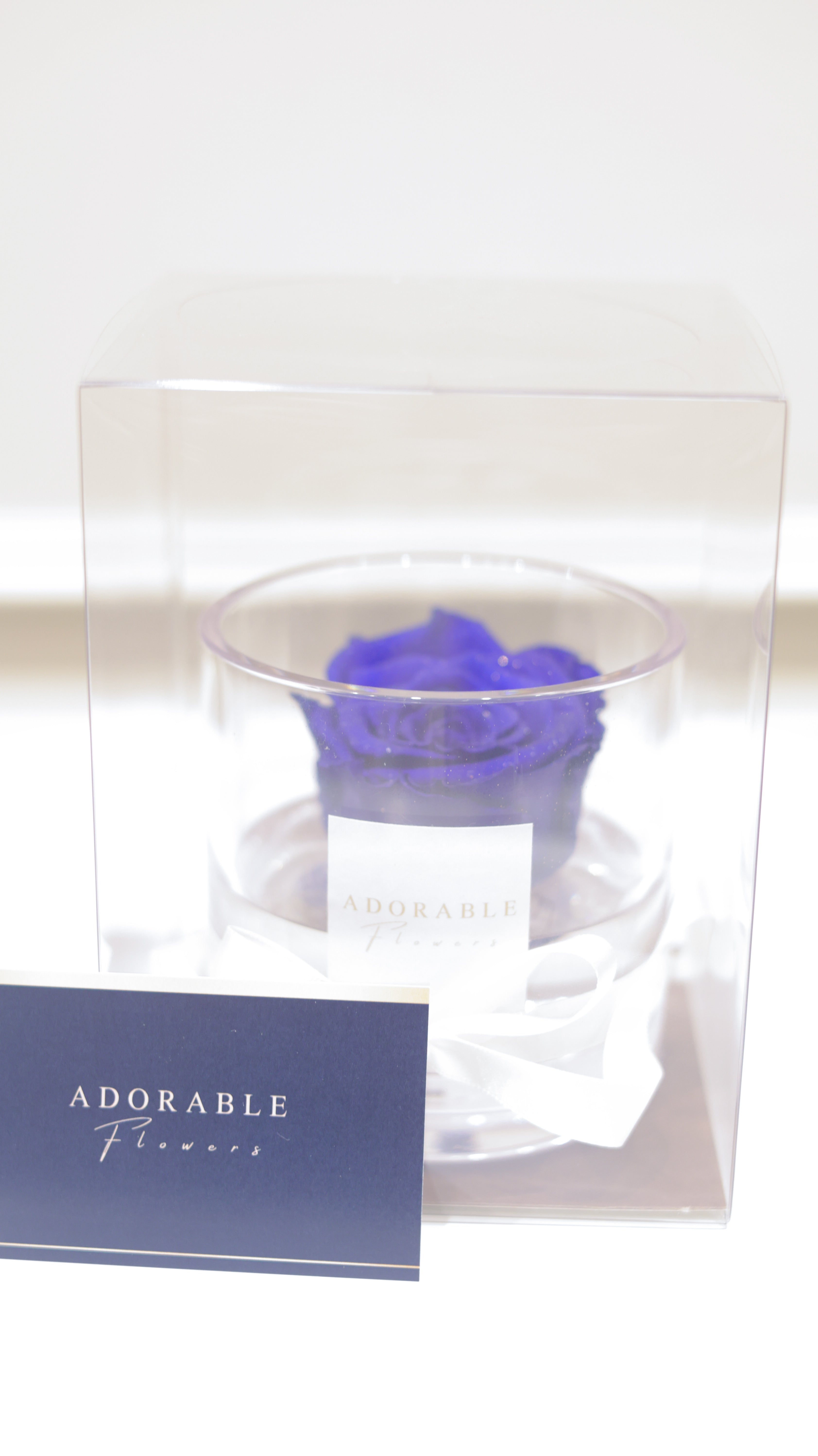 CREA Champagne Grand Bleu(グランブルー) M