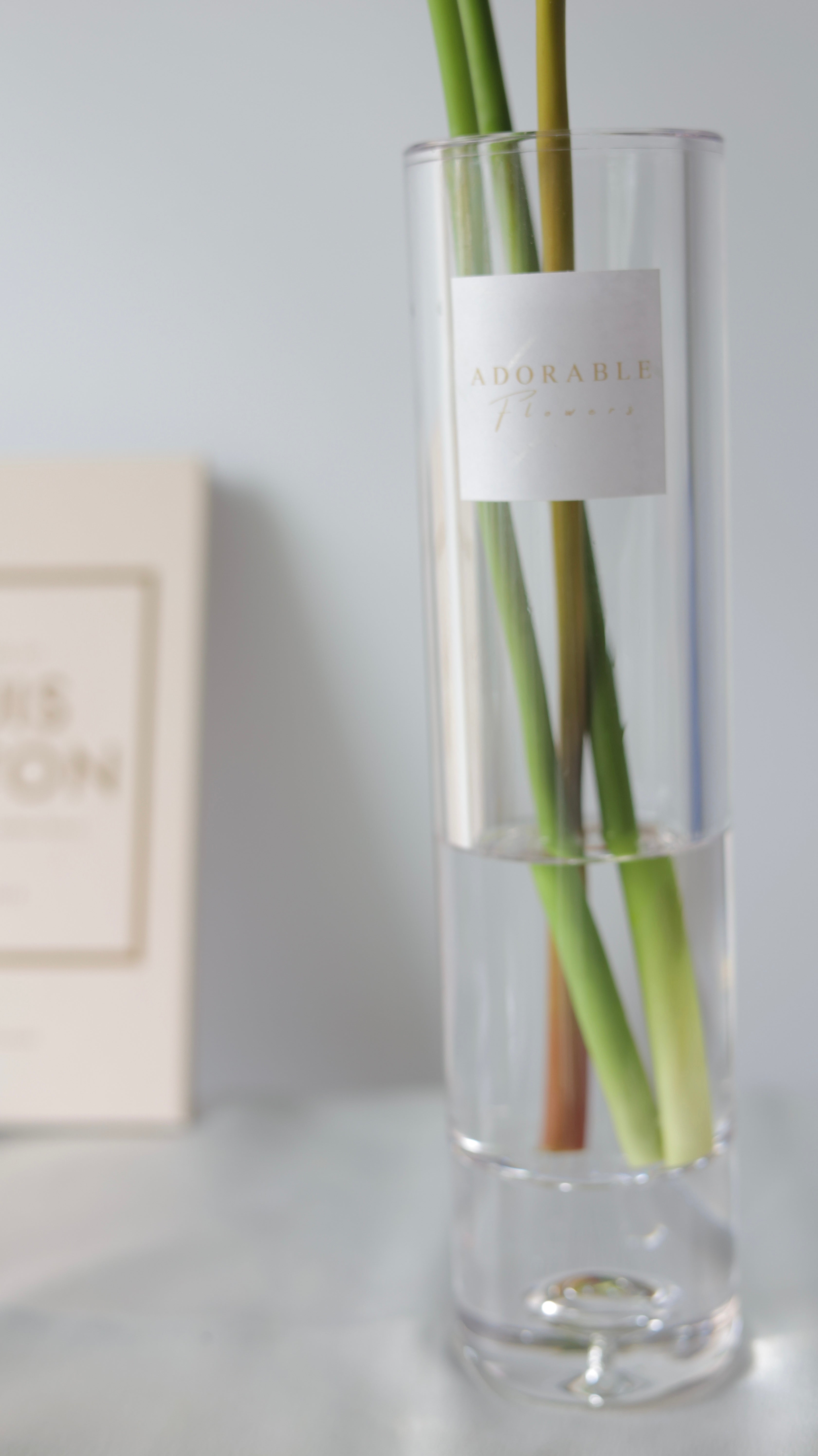 Hydrangea Dewdrop あじさい(水色)