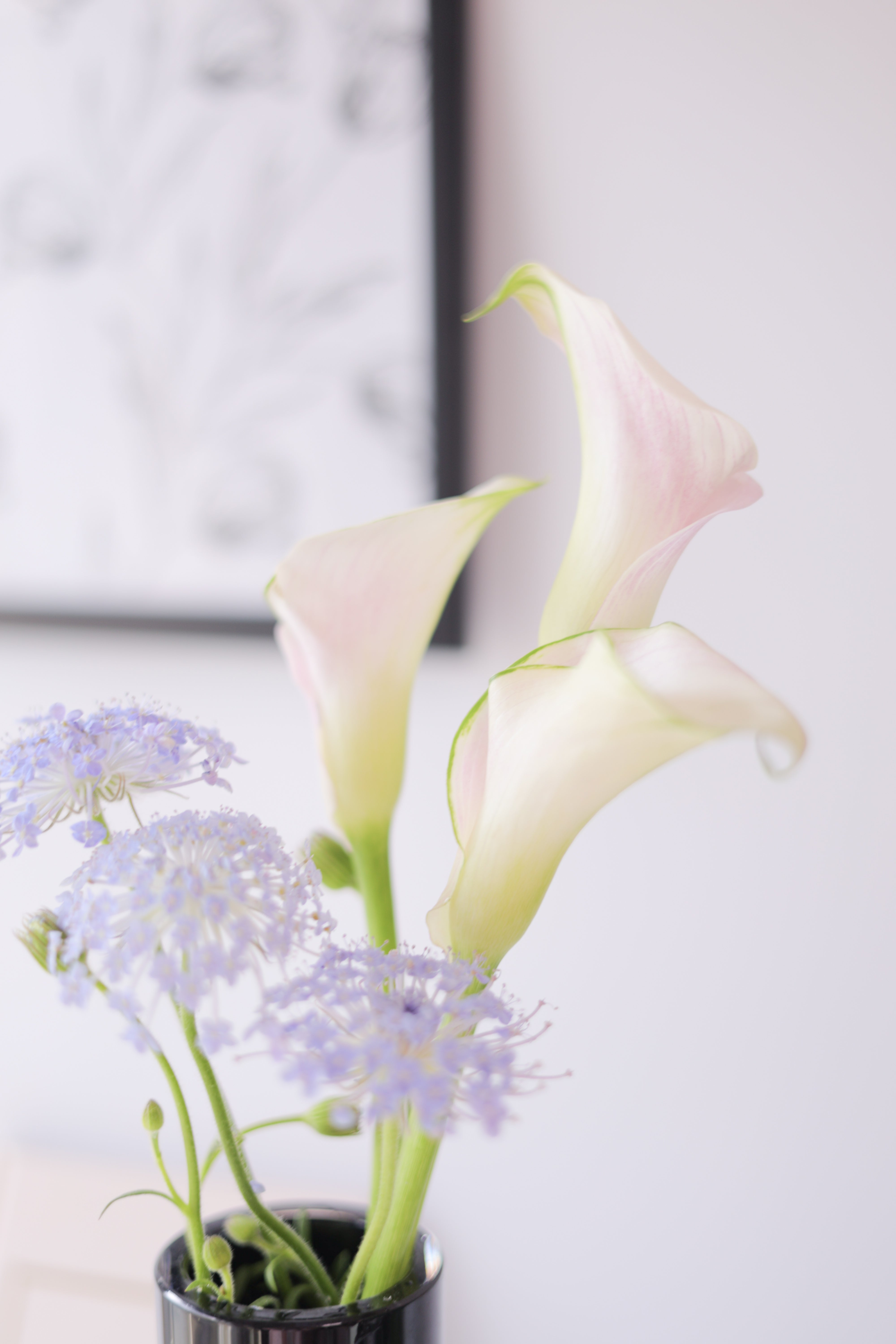 おすそわけ花 4/18分