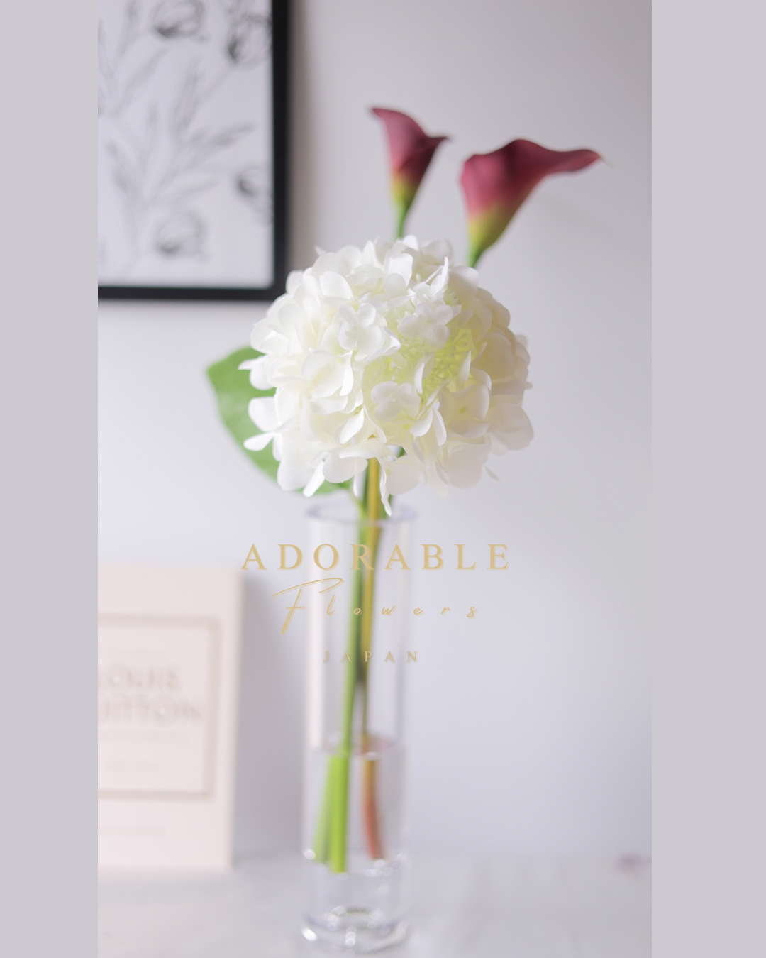 Hydrangea Dewdrop あじさい