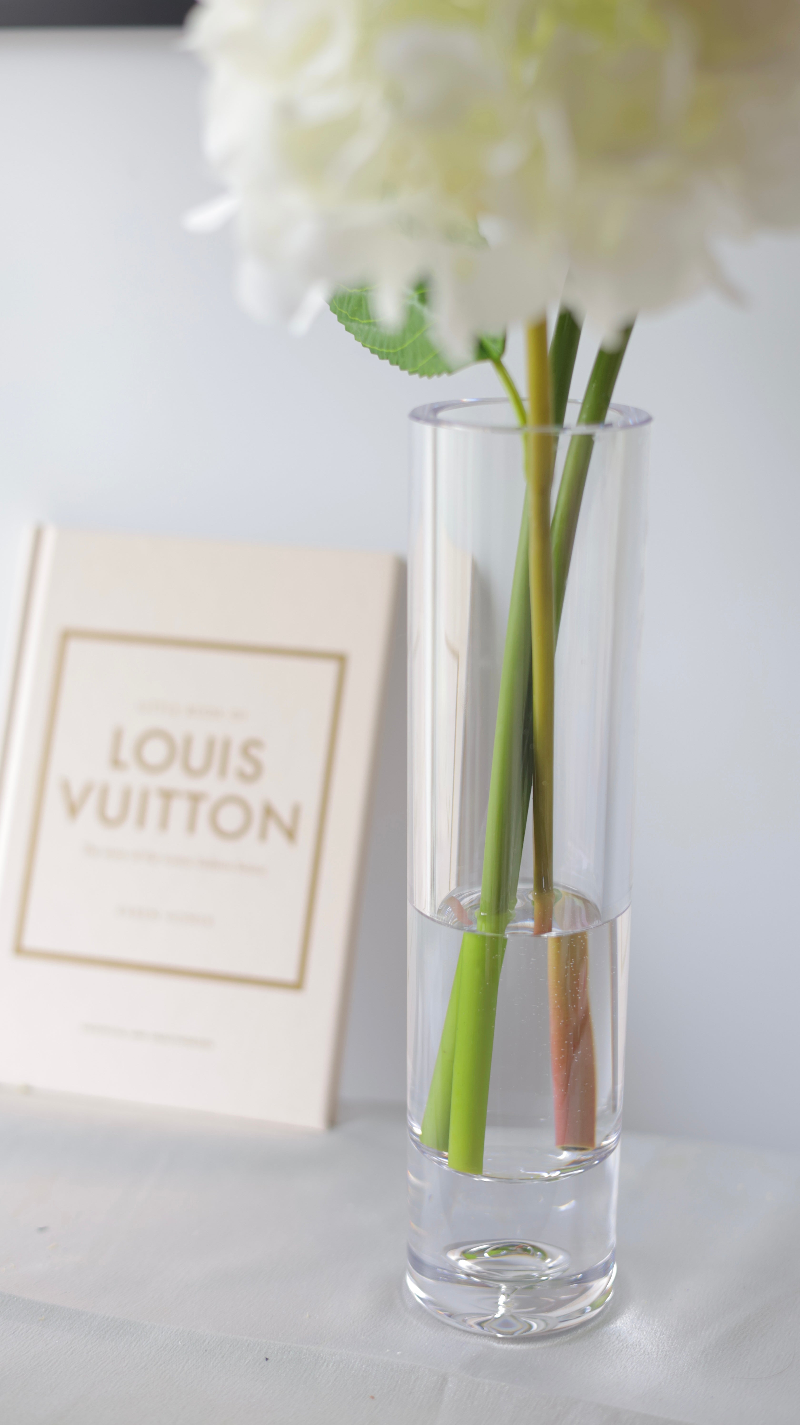 Hydrangea Dewdrop あじさい