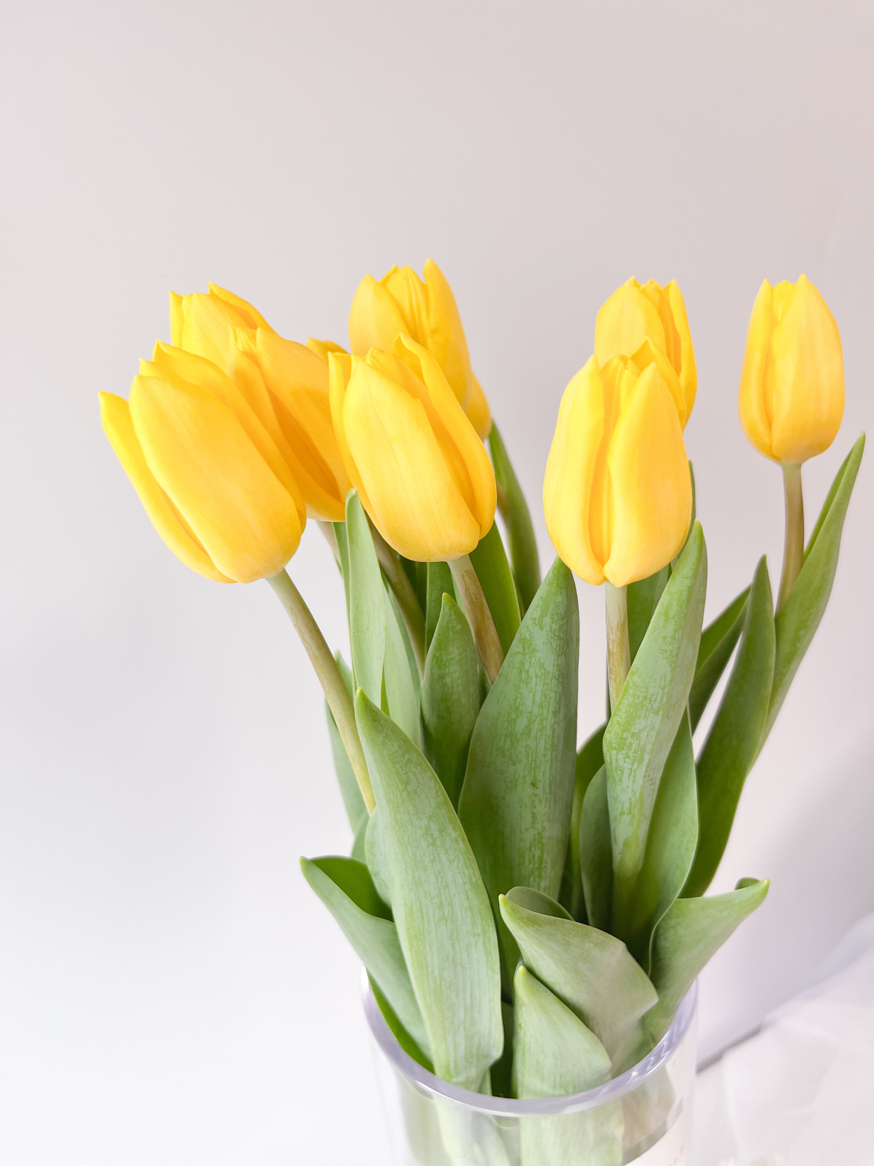 チューリップ 10本 フローリストセレクト