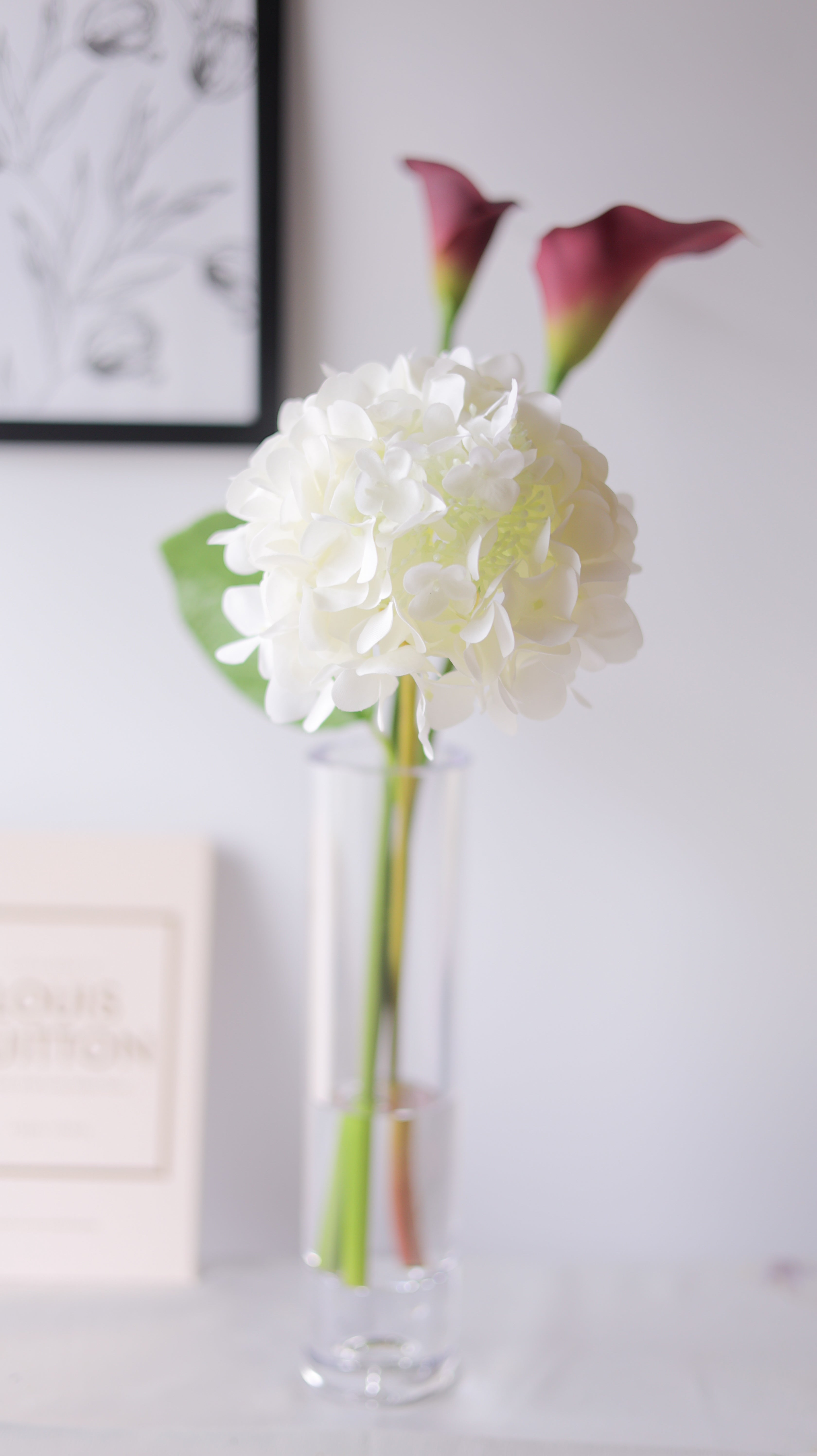 Hydrangea Dewdrop あじさい