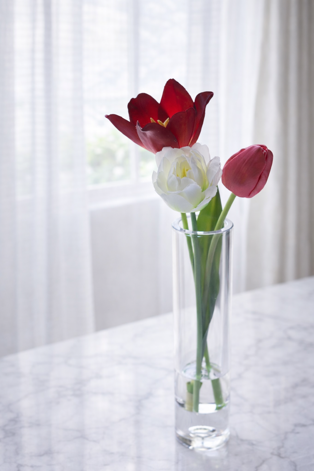 Eternal Tulips|Dewdrop(固まる水)チューリップ