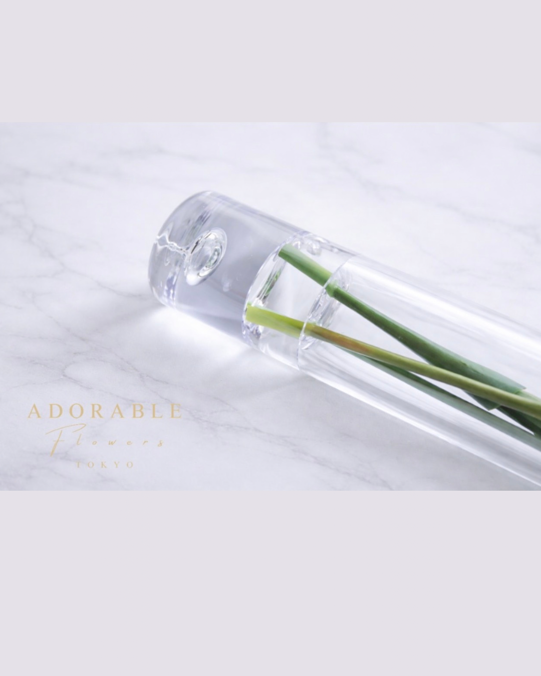 Silent Spring|Dewdrop Sakura(桜)