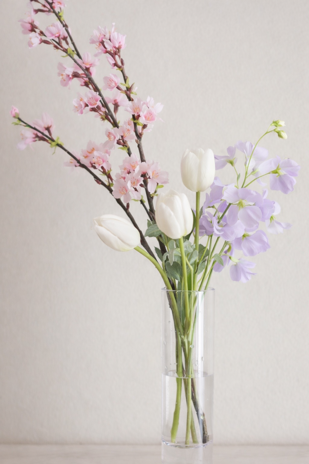 Silent Spring|Dewdrop Sakura(桜)