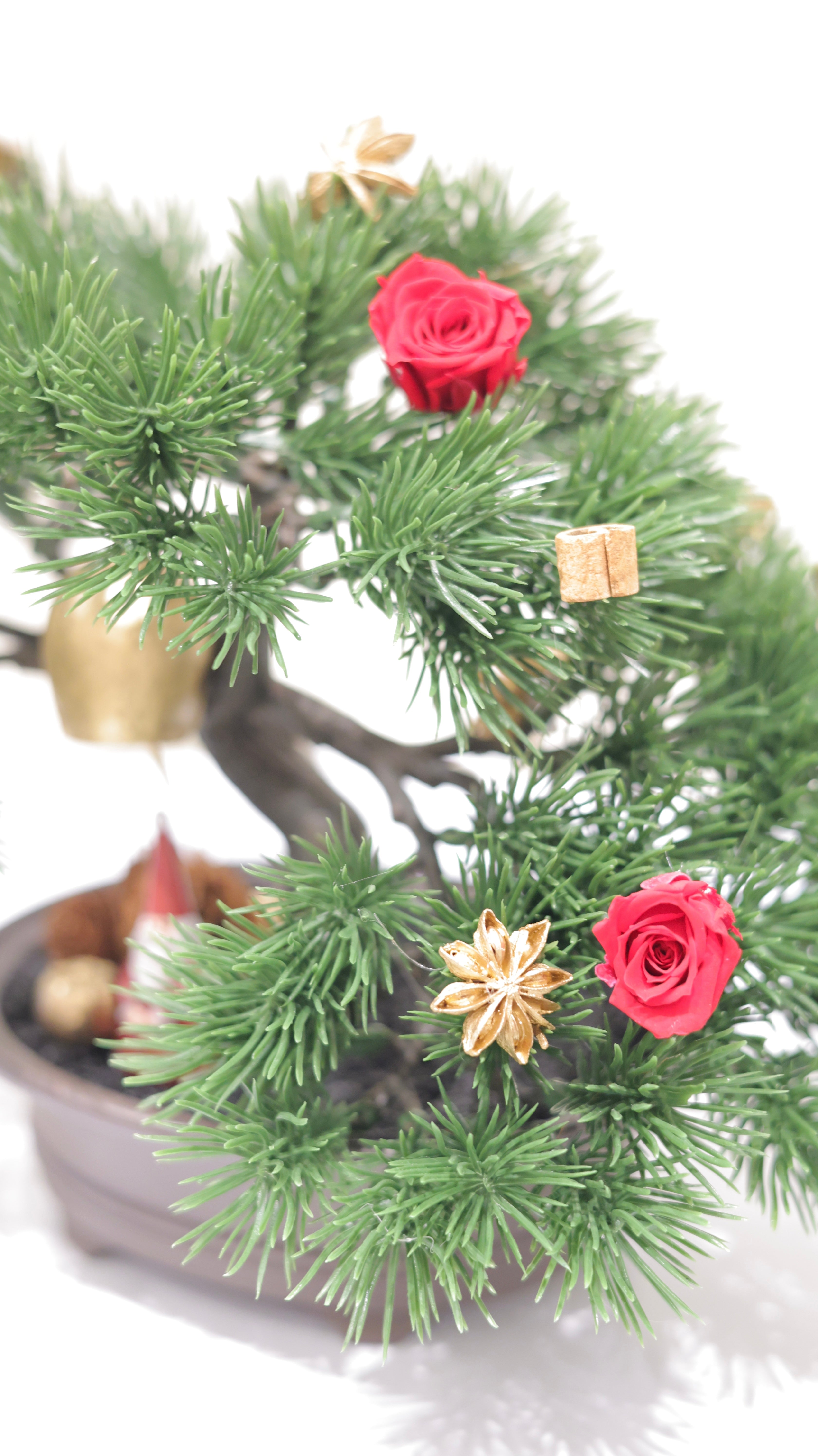 「Noël Bonsai クリスマス盆栽 | アーティフィシャルグリーン