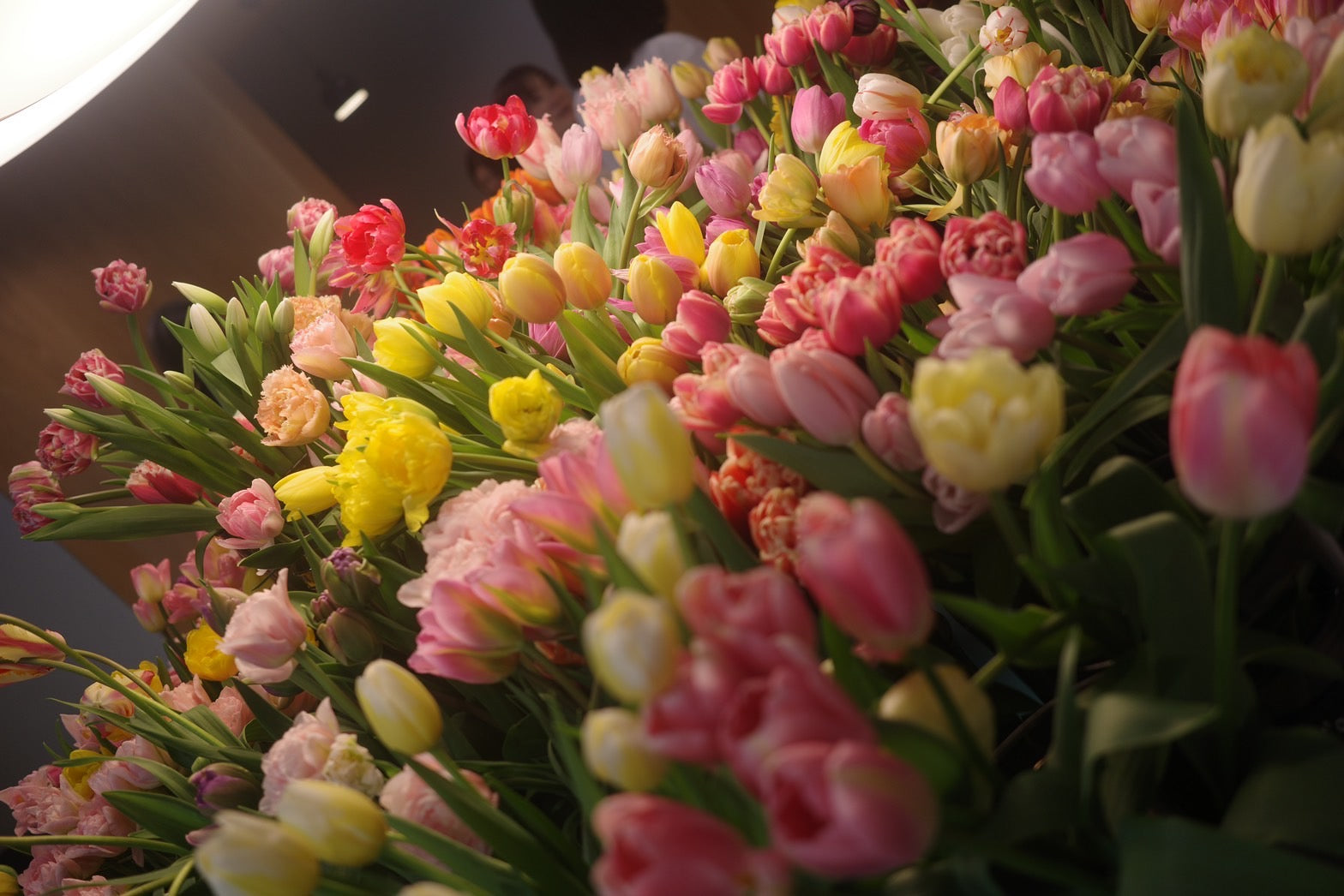 “Dearest Tulips - 愛しき春の贈りもの”