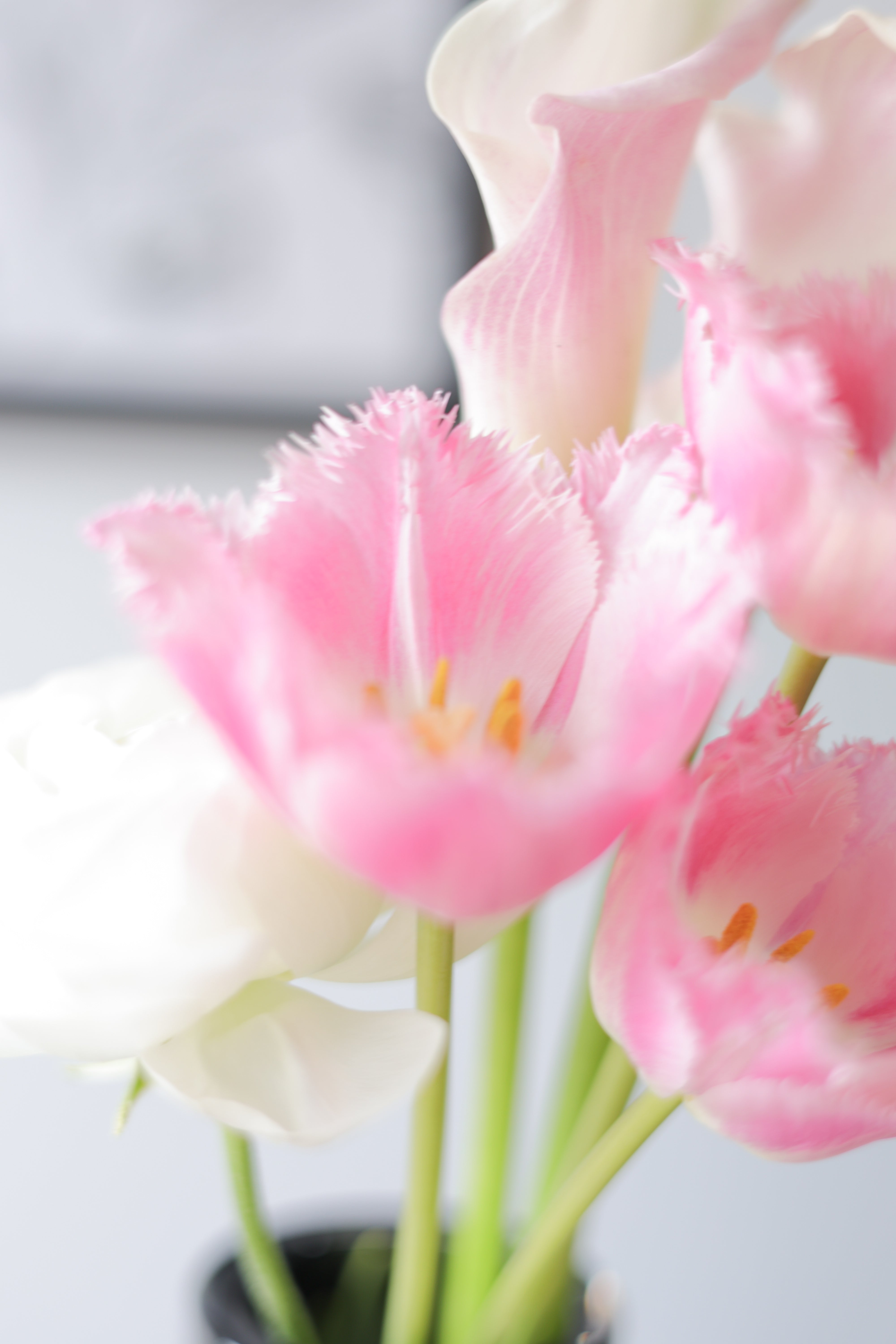 おすそわけ花 4/18分