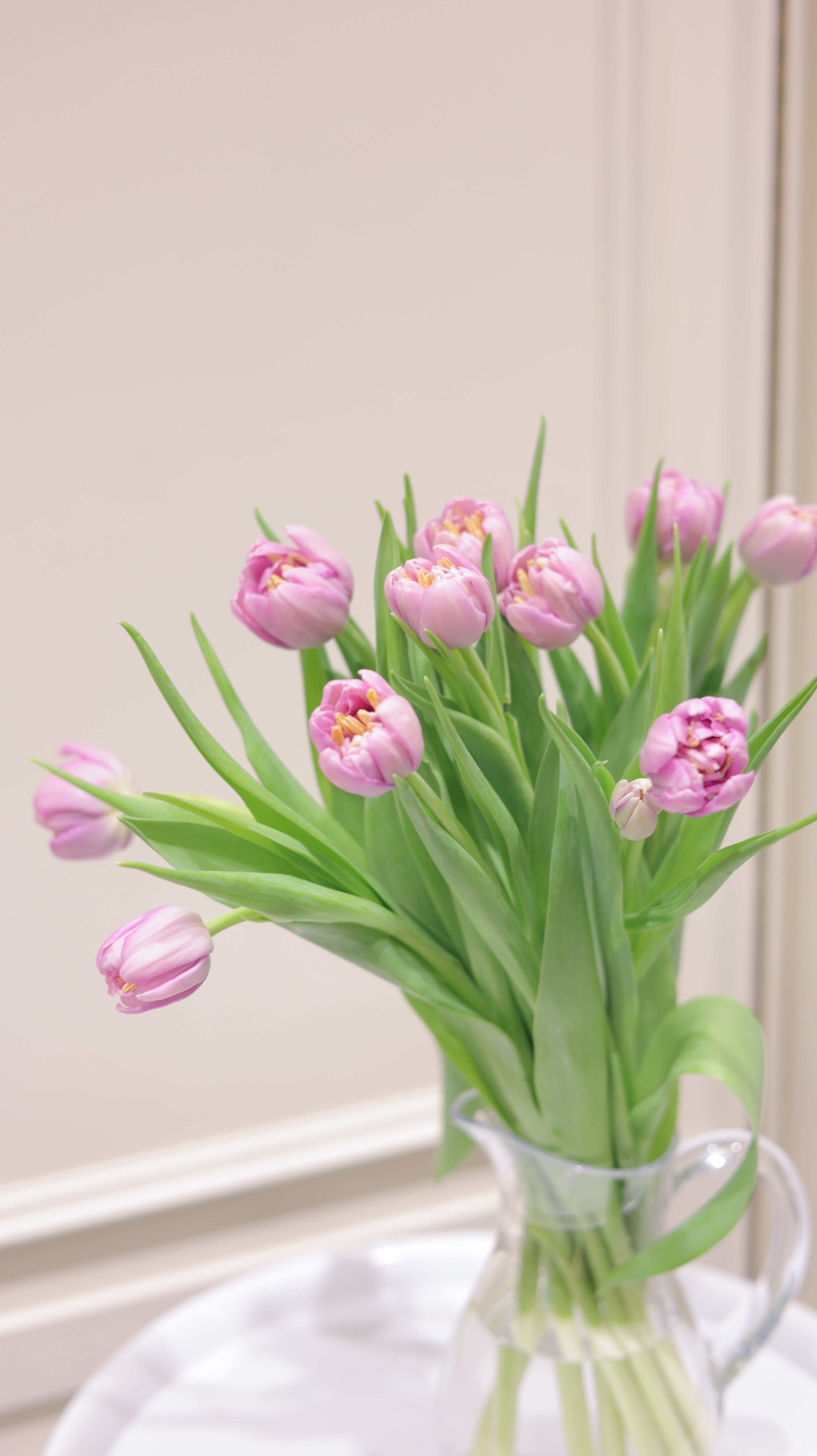 【3月中旬まで】Tulip Delivery-Adorable select|今だけのチューリップ便