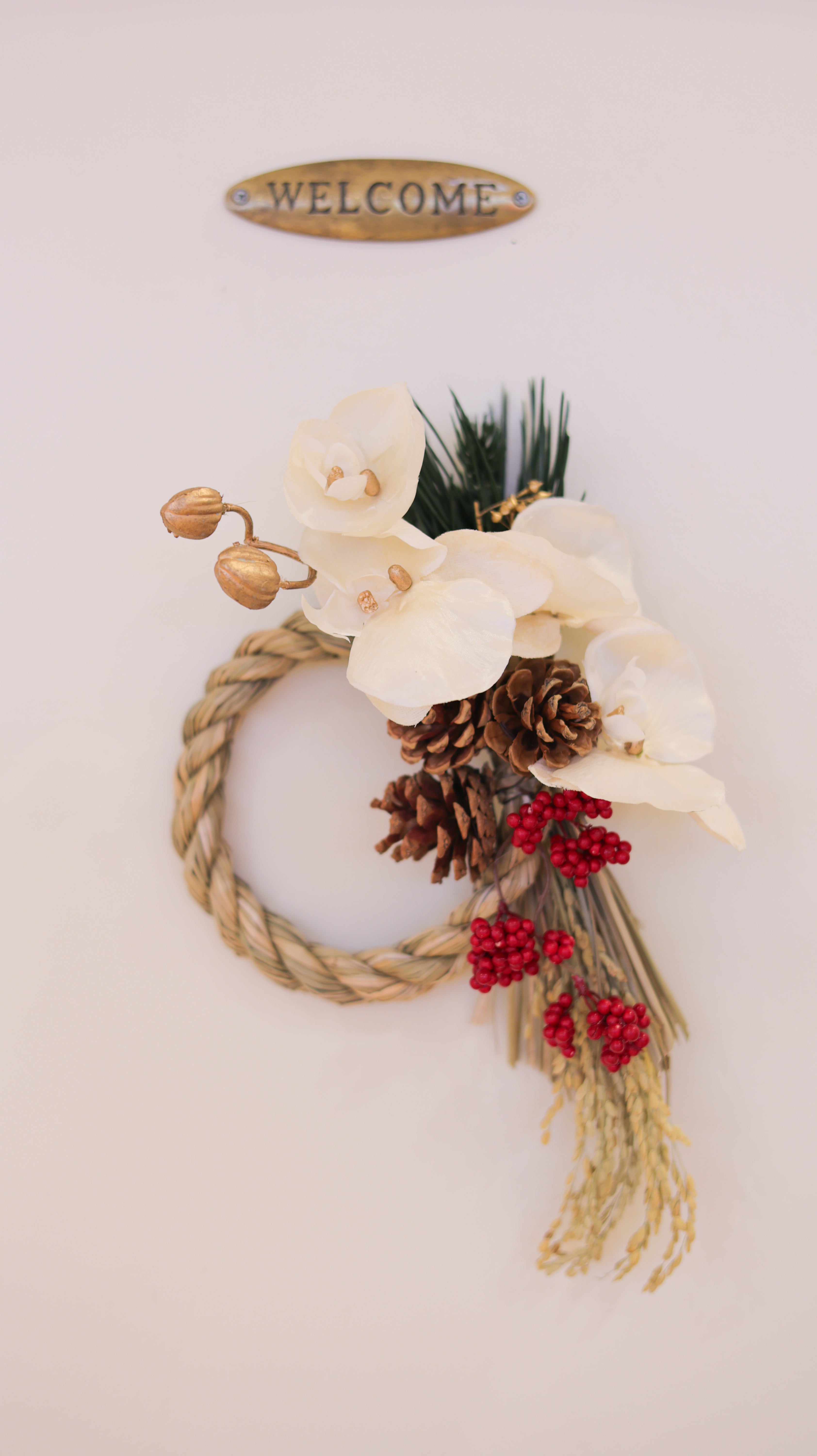 胡蝶蘭の華しめ縄 | Orchid Shimenawa