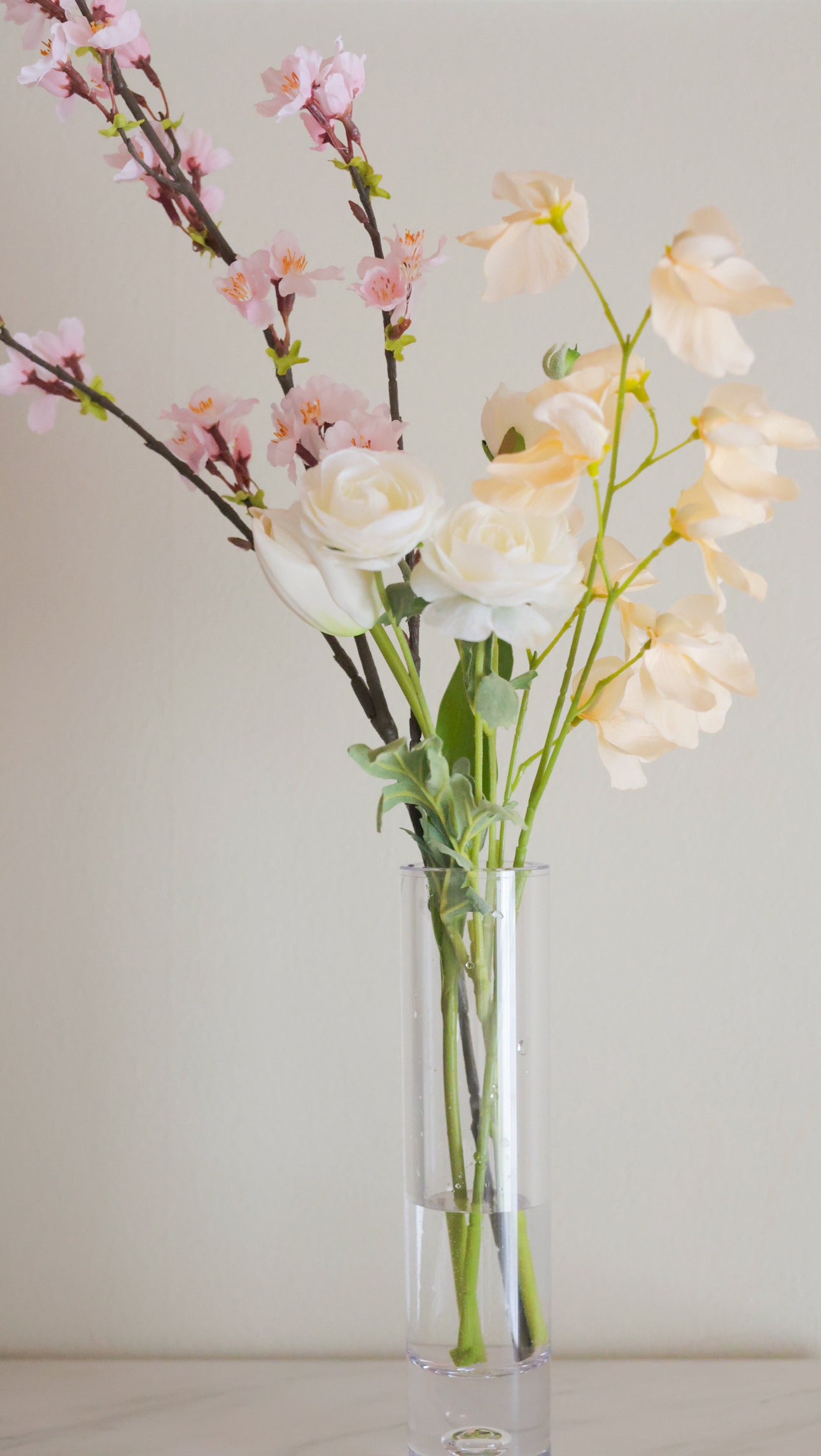 Silent Spring|Dewdrop Sakura(桜)