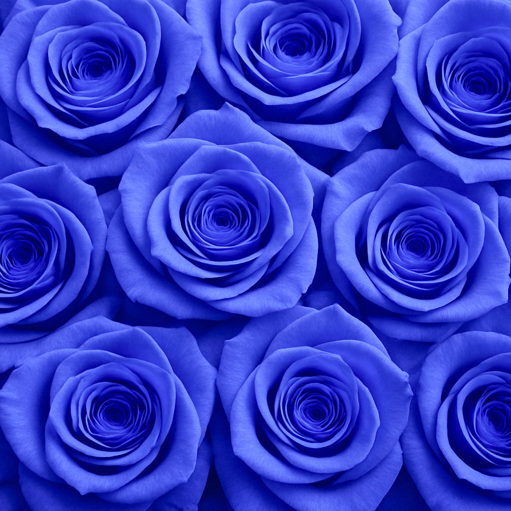 CREA Champagne Grand Bleu(グランブルー)