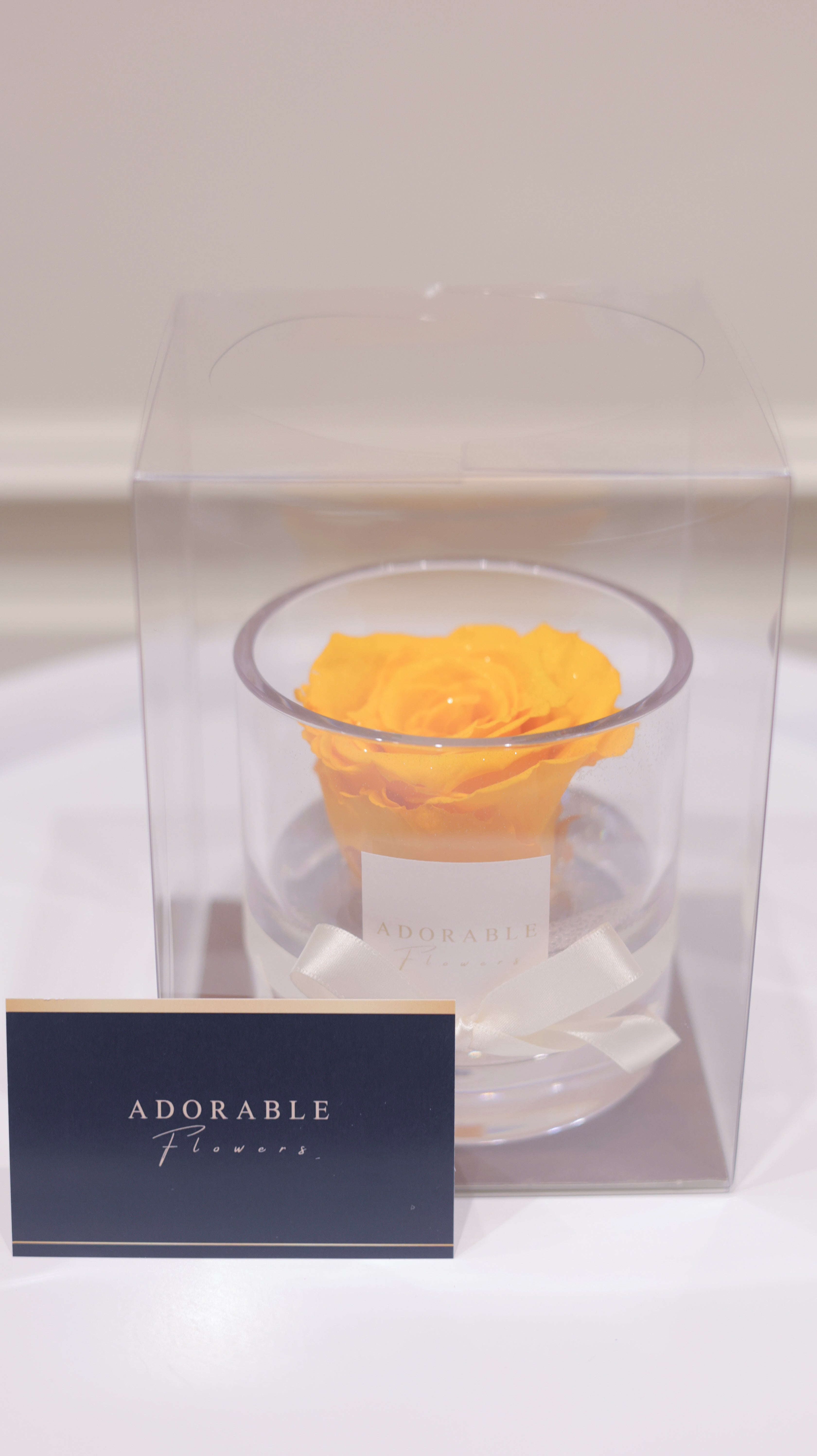 CREA Champagne Citrine Noble(シトリン・ノーブル) M