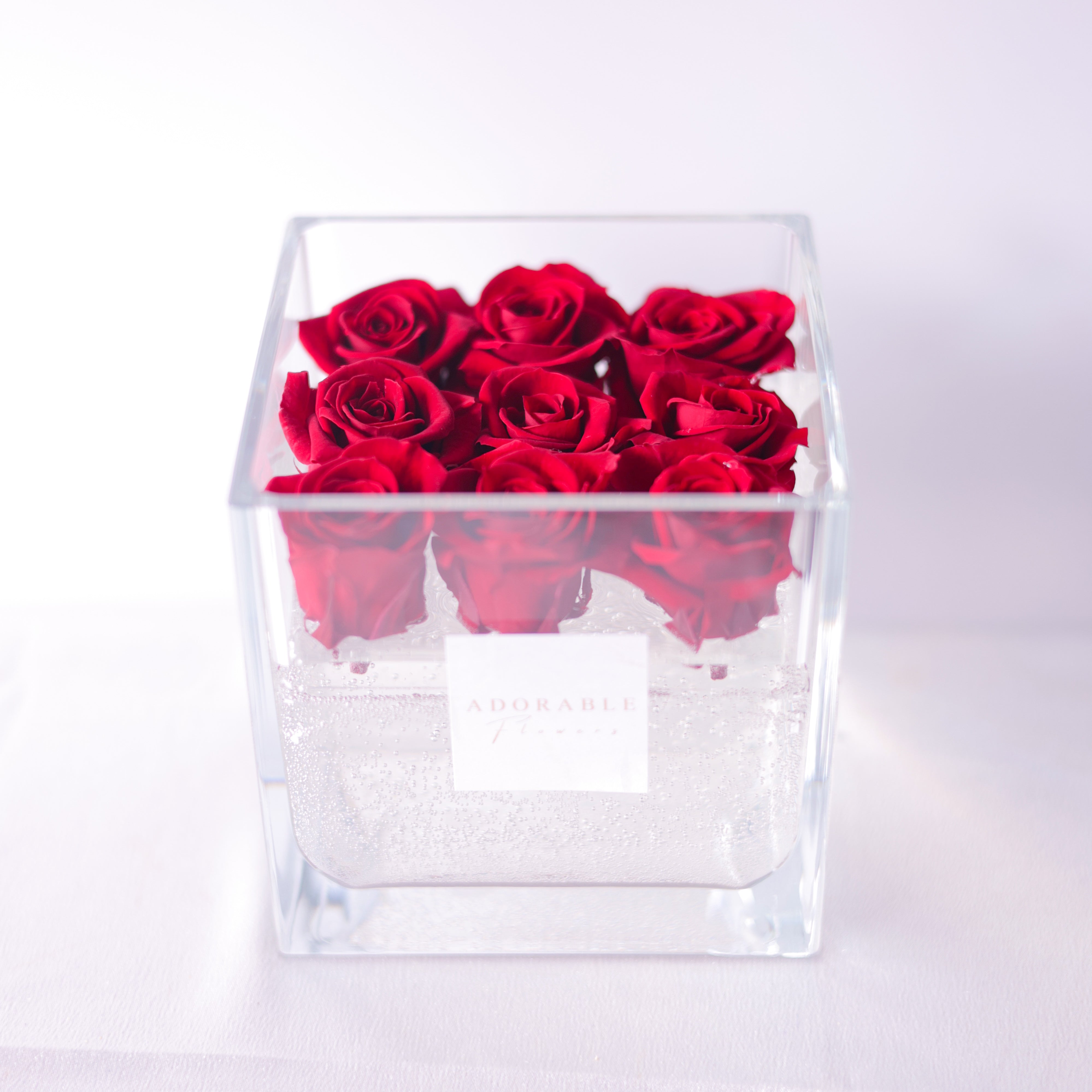 CREA Champagne Rouge Élégant(ルージュ エレガン)