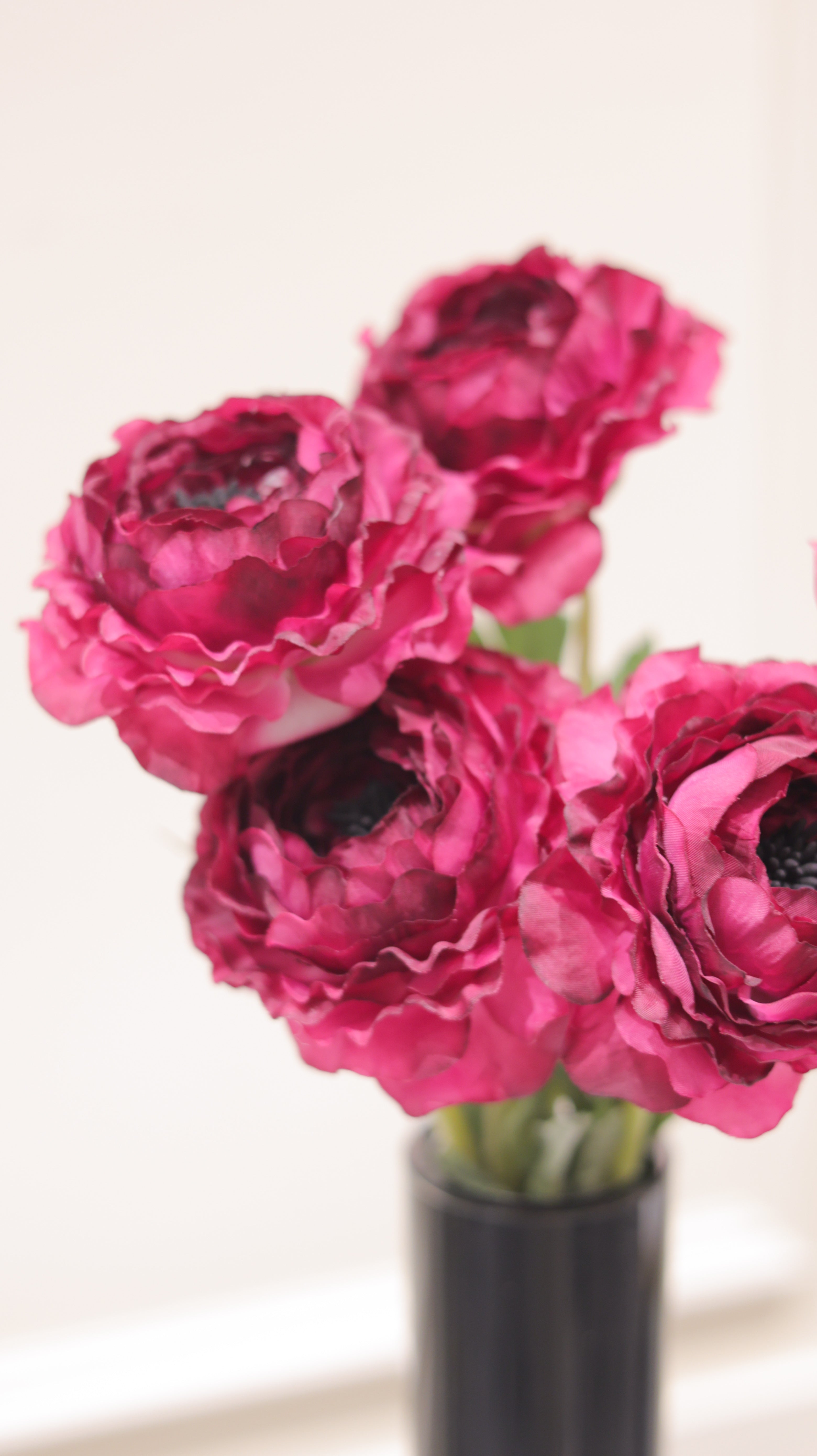 ラナンキュラス 5本セット