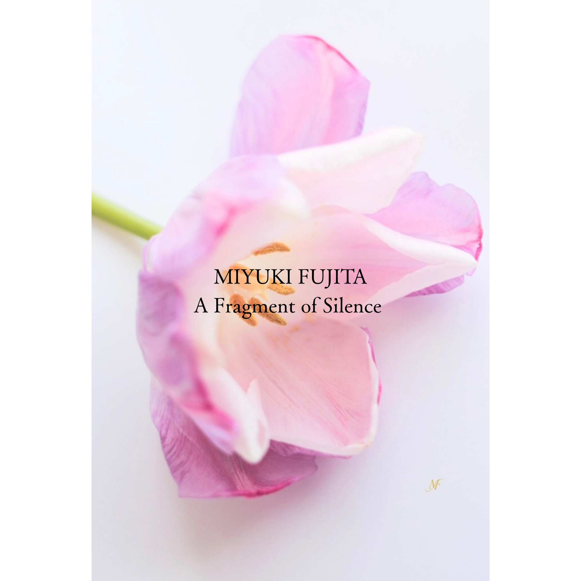 A Fragment of Silence | Tulip 02