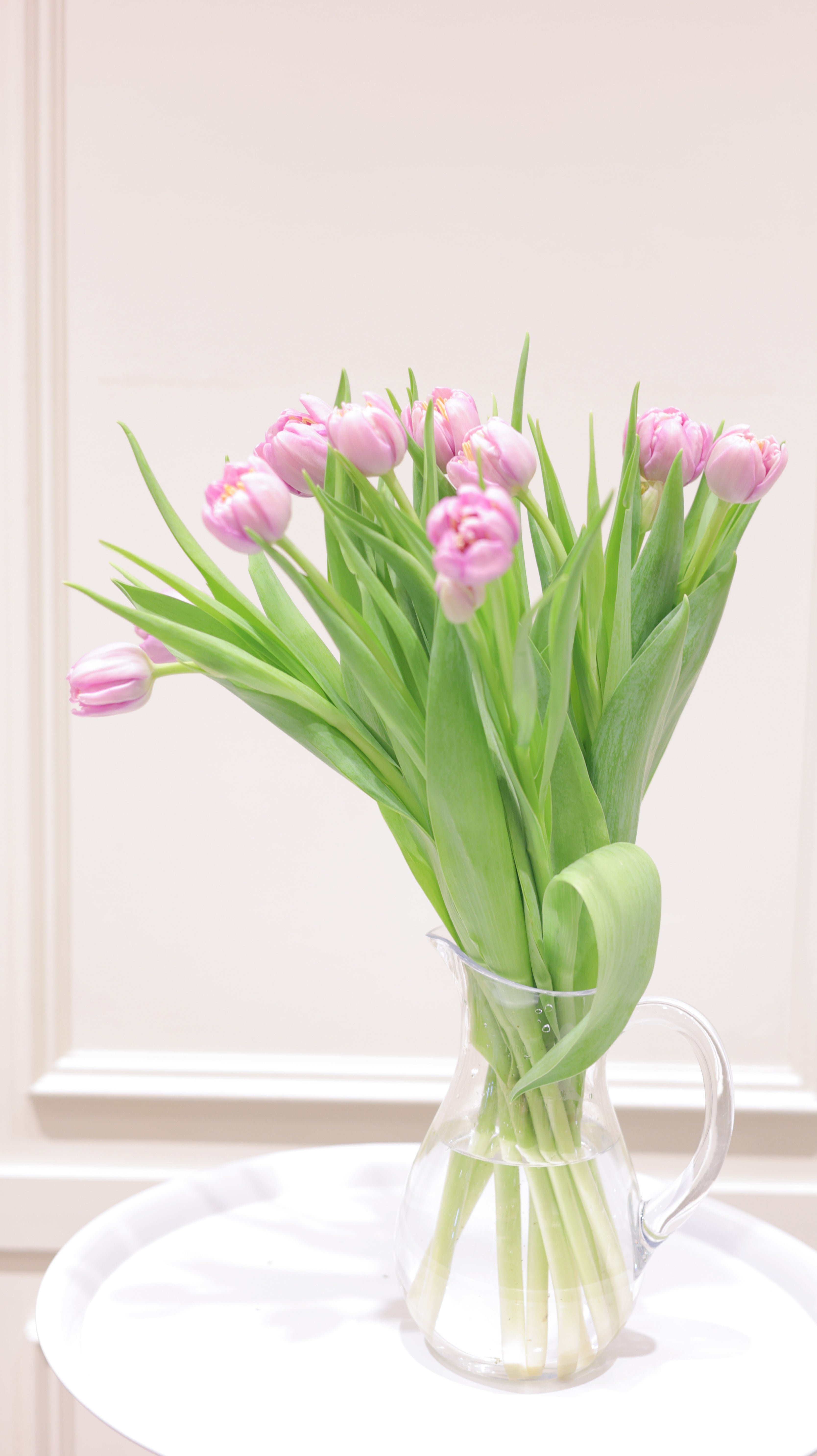 Adorable Tulips|季節のチューリップ 10本~50本