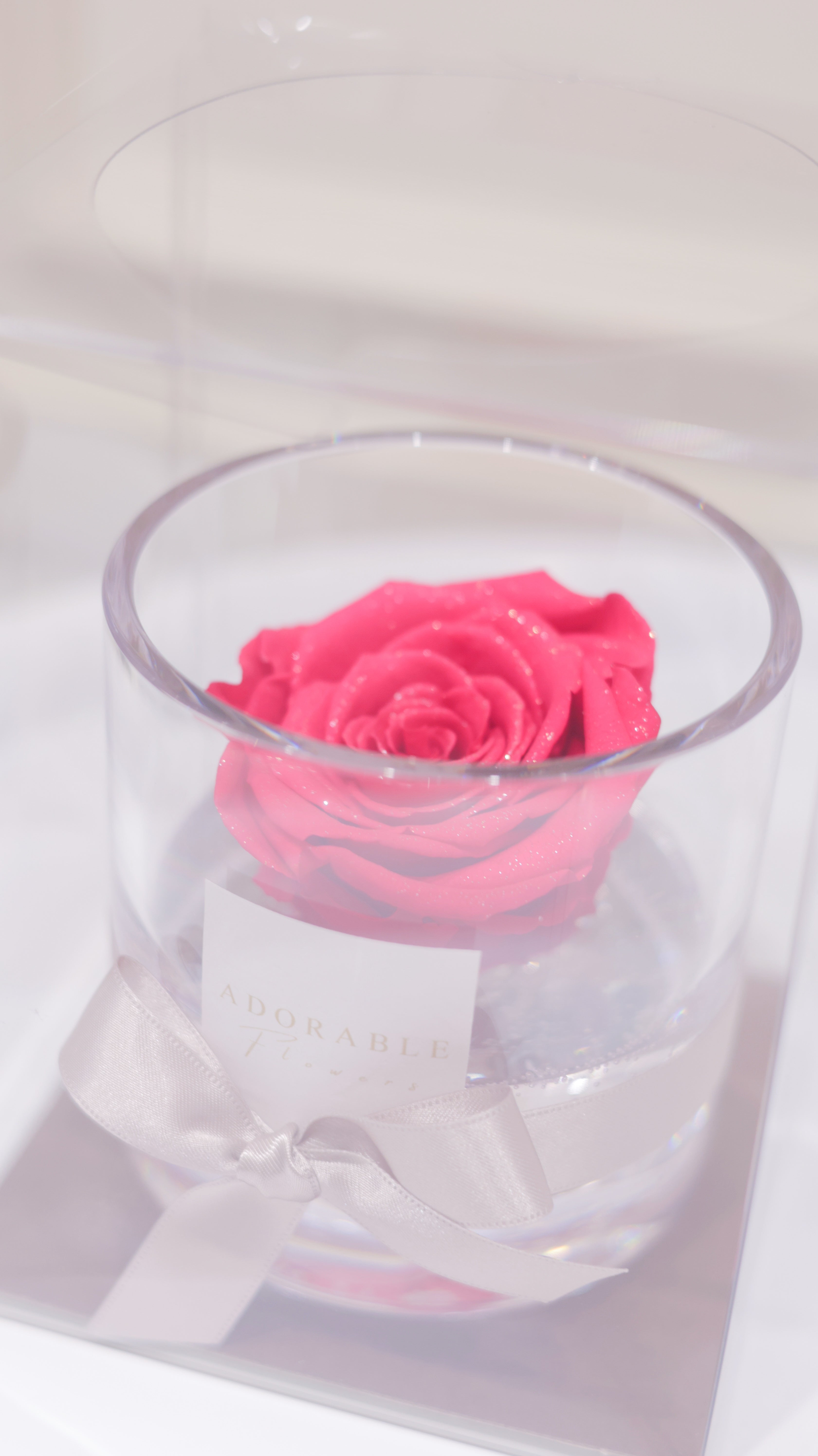 CREA Champagne Fuchsia Noble(フューシャ・ノーブル) M