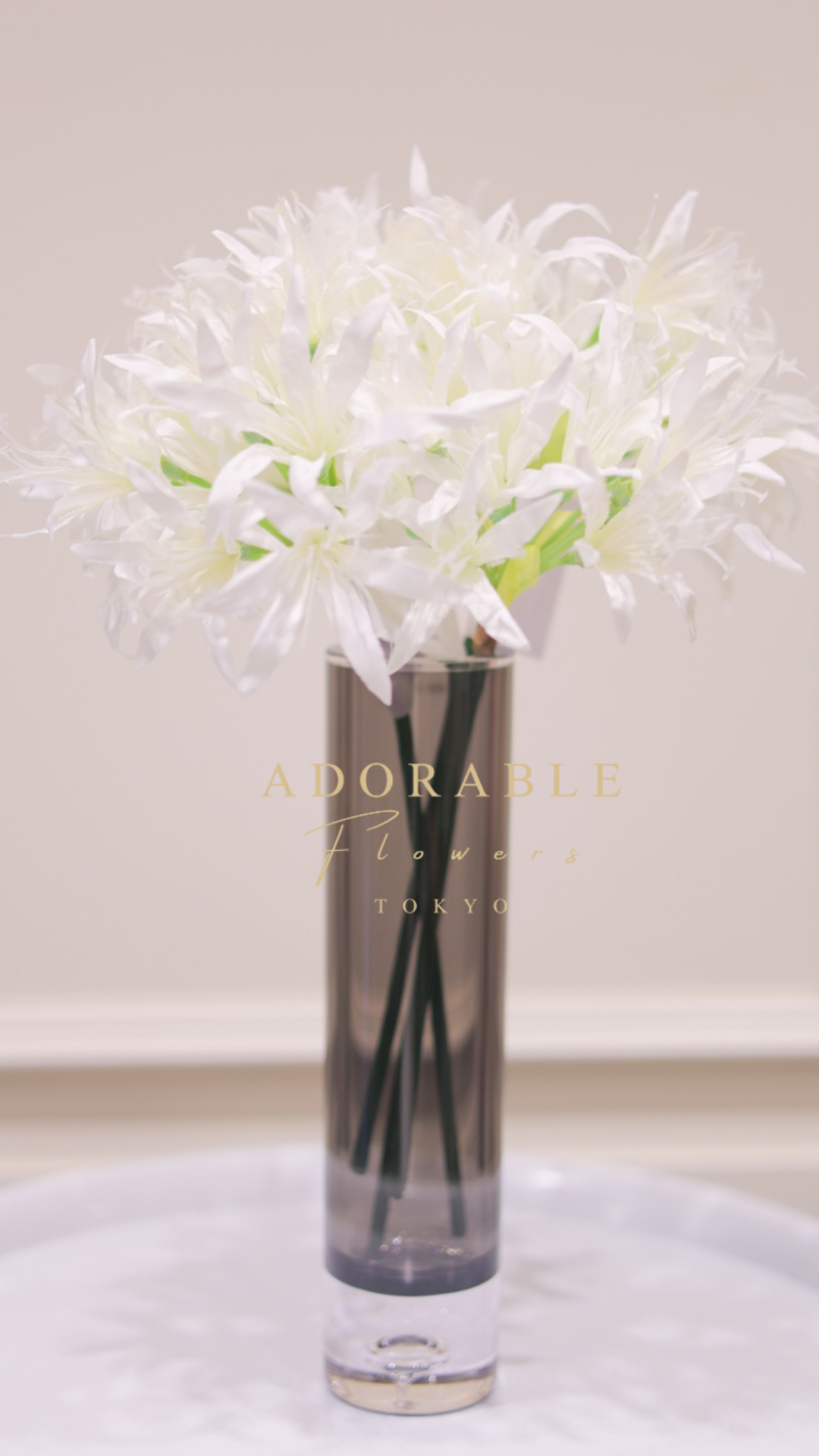 ネリネ(ダイアモンドリリー)5本セット