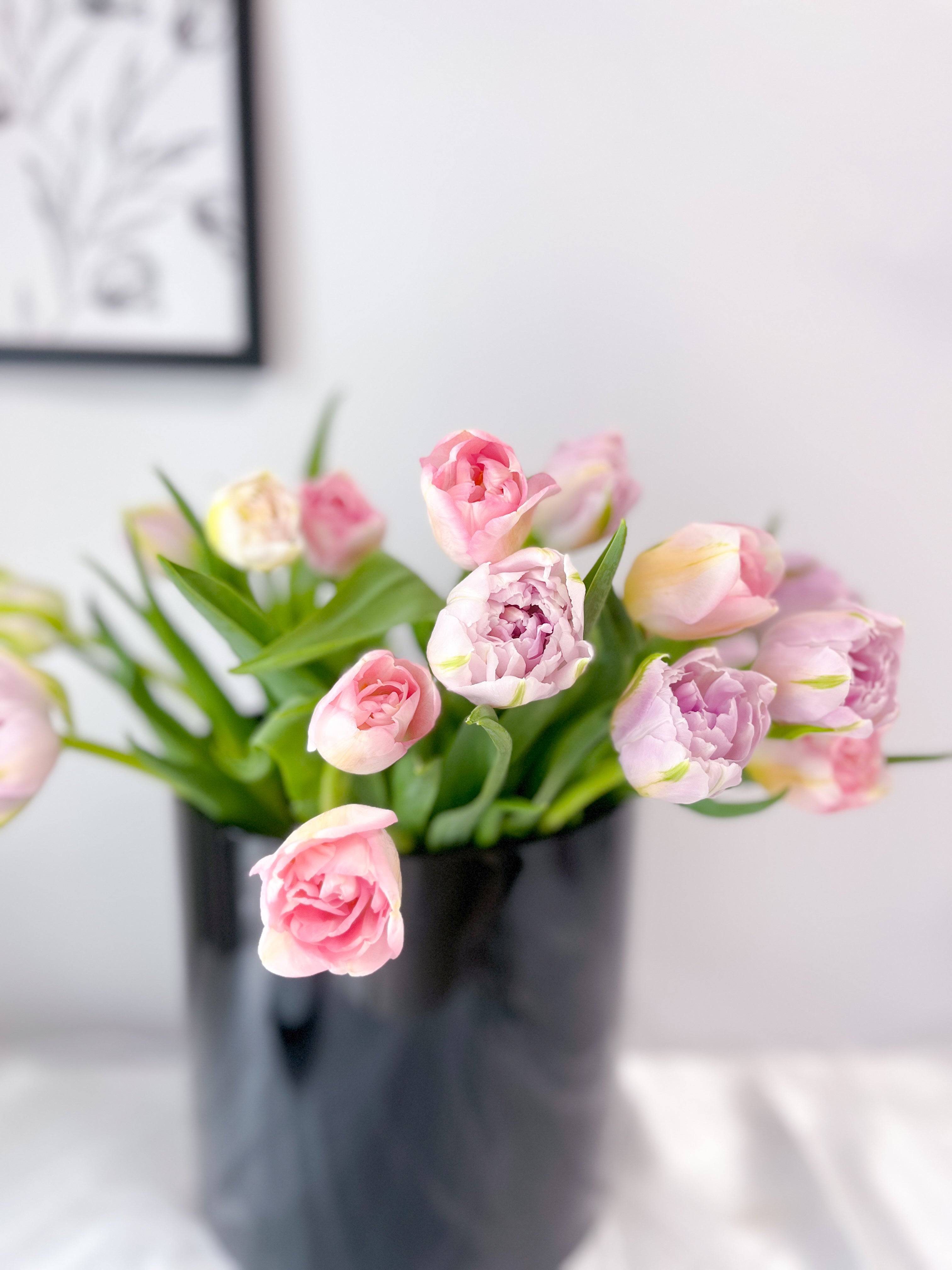 We love Tulips 🌷|チューリップを束ねる会