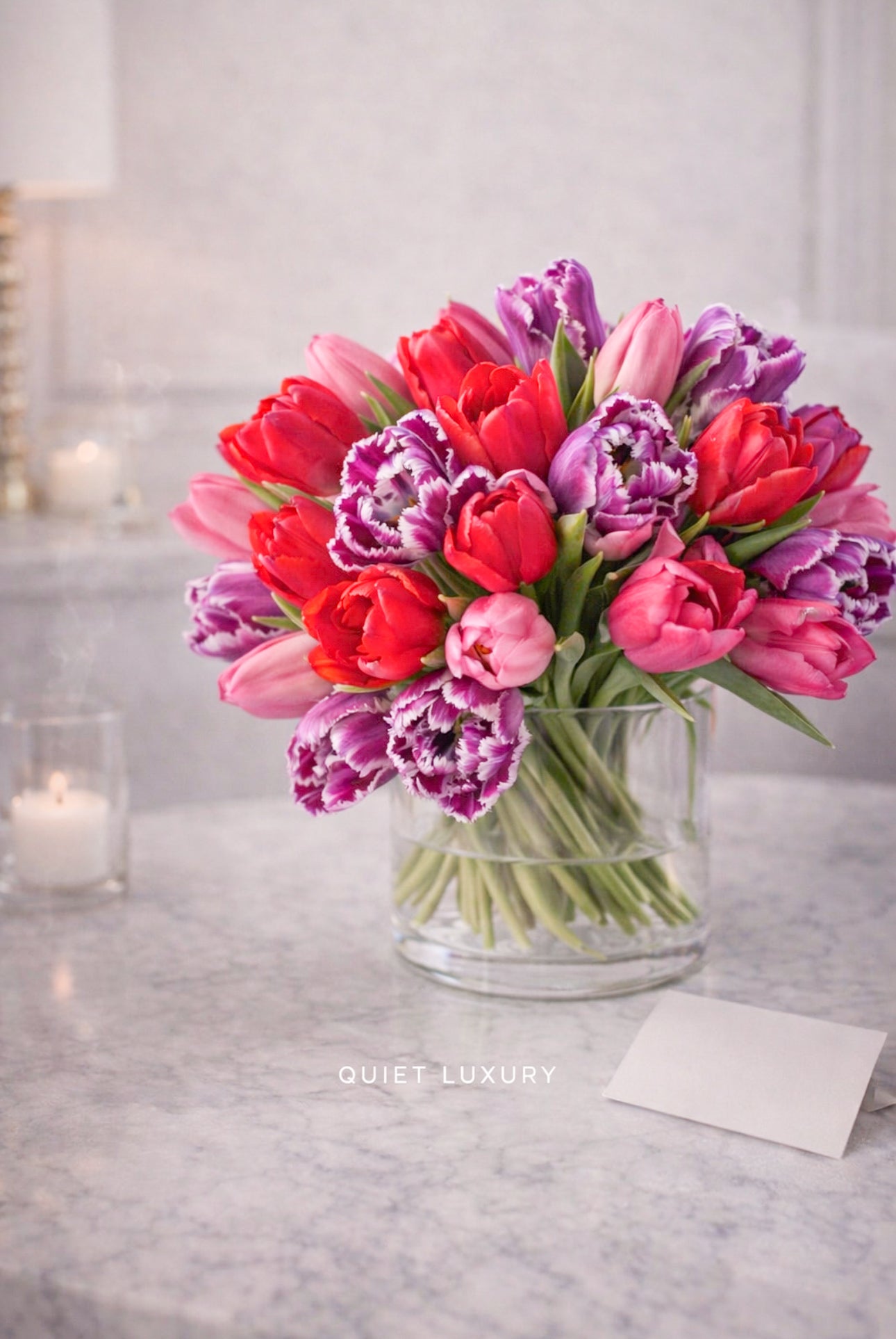 Adorable Tulips|季節のチューリップ