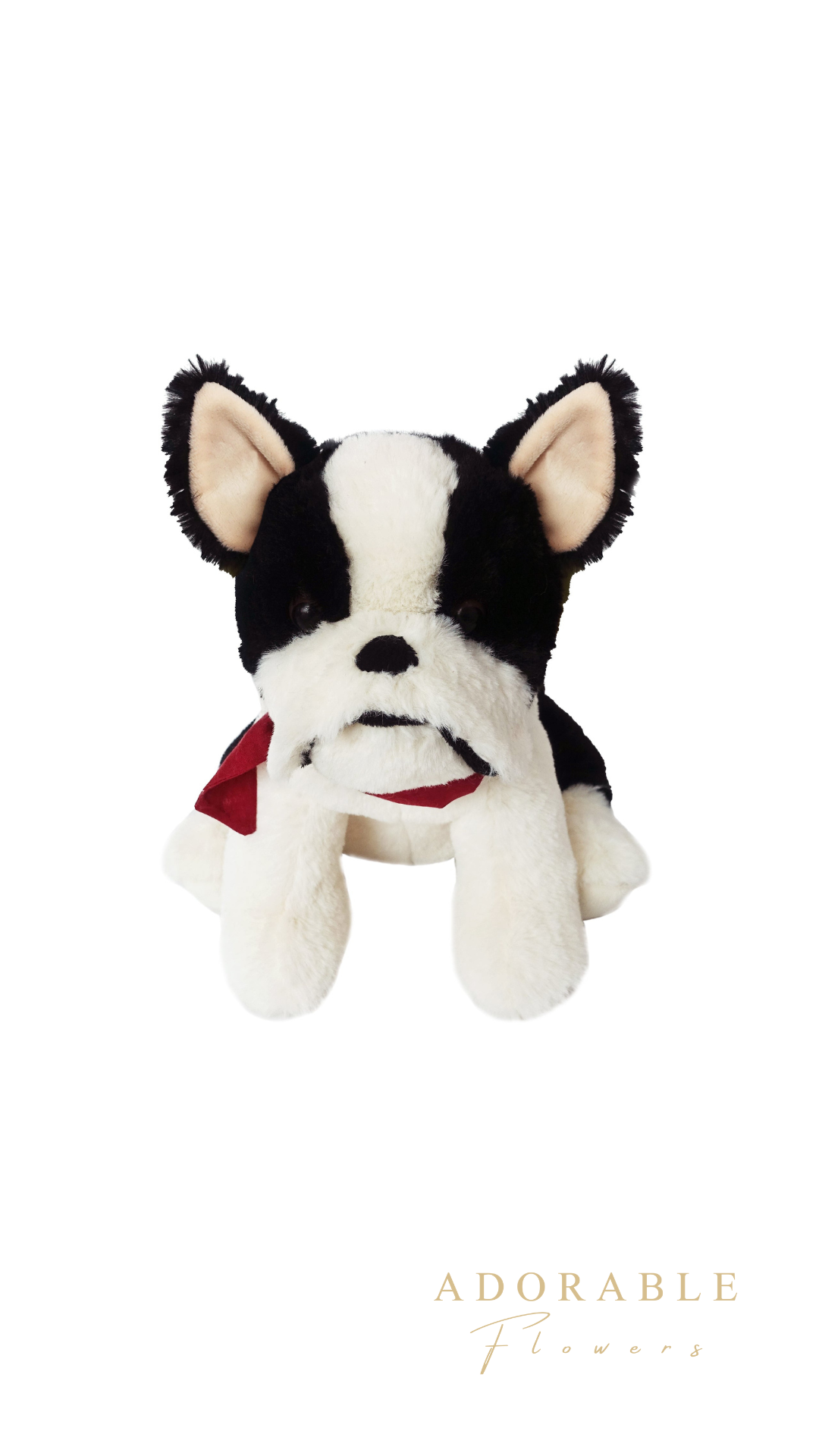 【MON AMI】フランソワ ザ フレンチブルドッグ