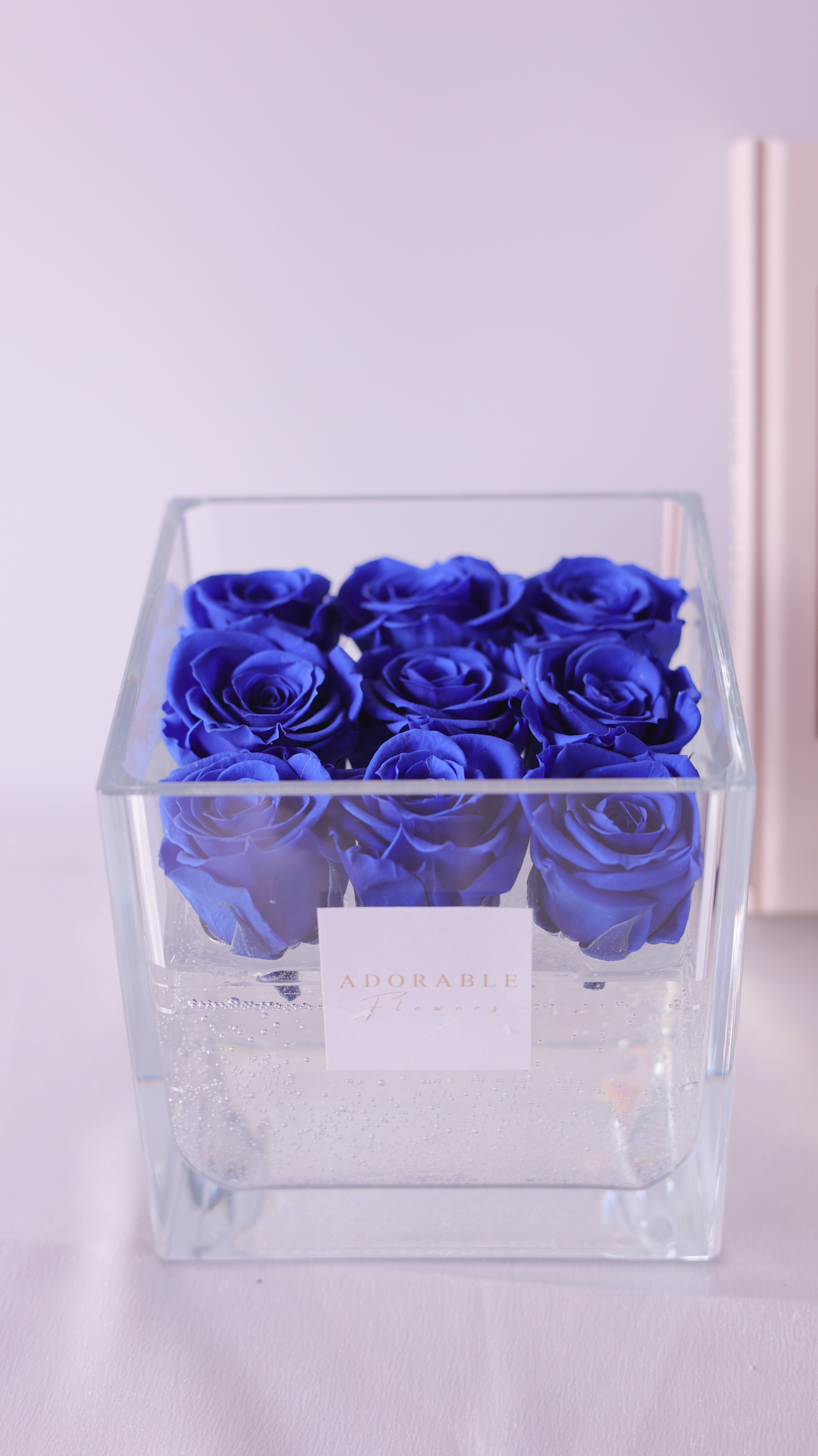 CREA Champagne　Grand Bleu（グランブルー）