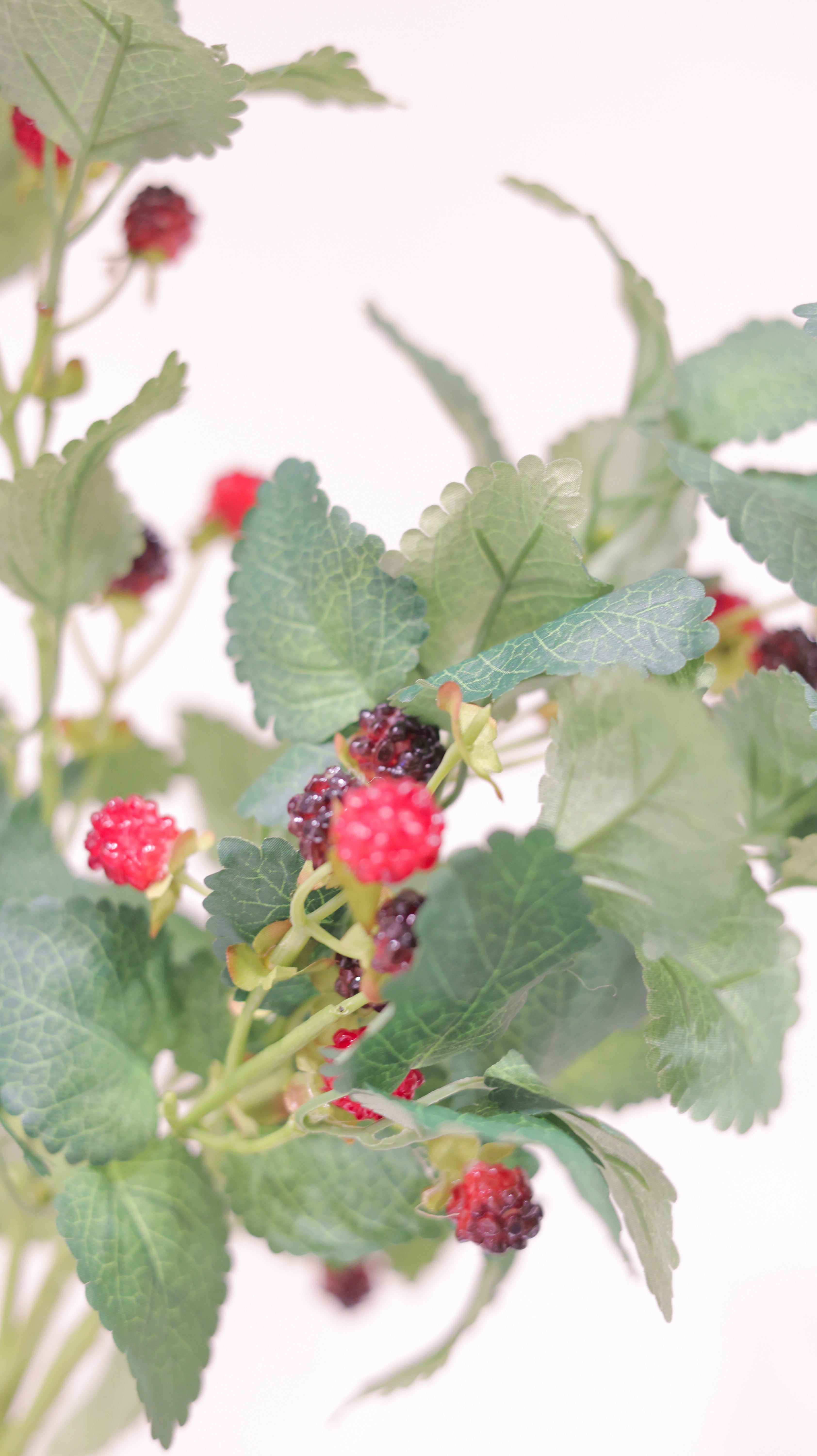 ワイルドベリー アーティフィシャルブランチ | 2本セット