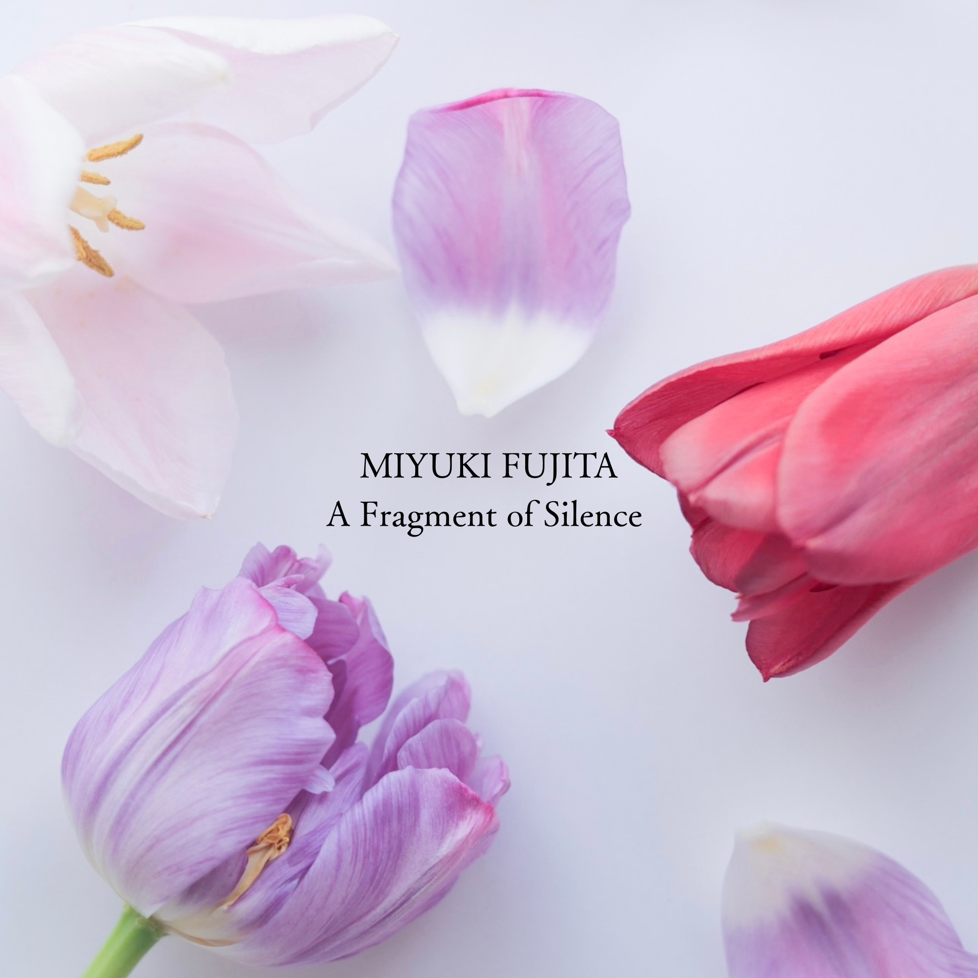 A Fragment of Silence | Tulip 03