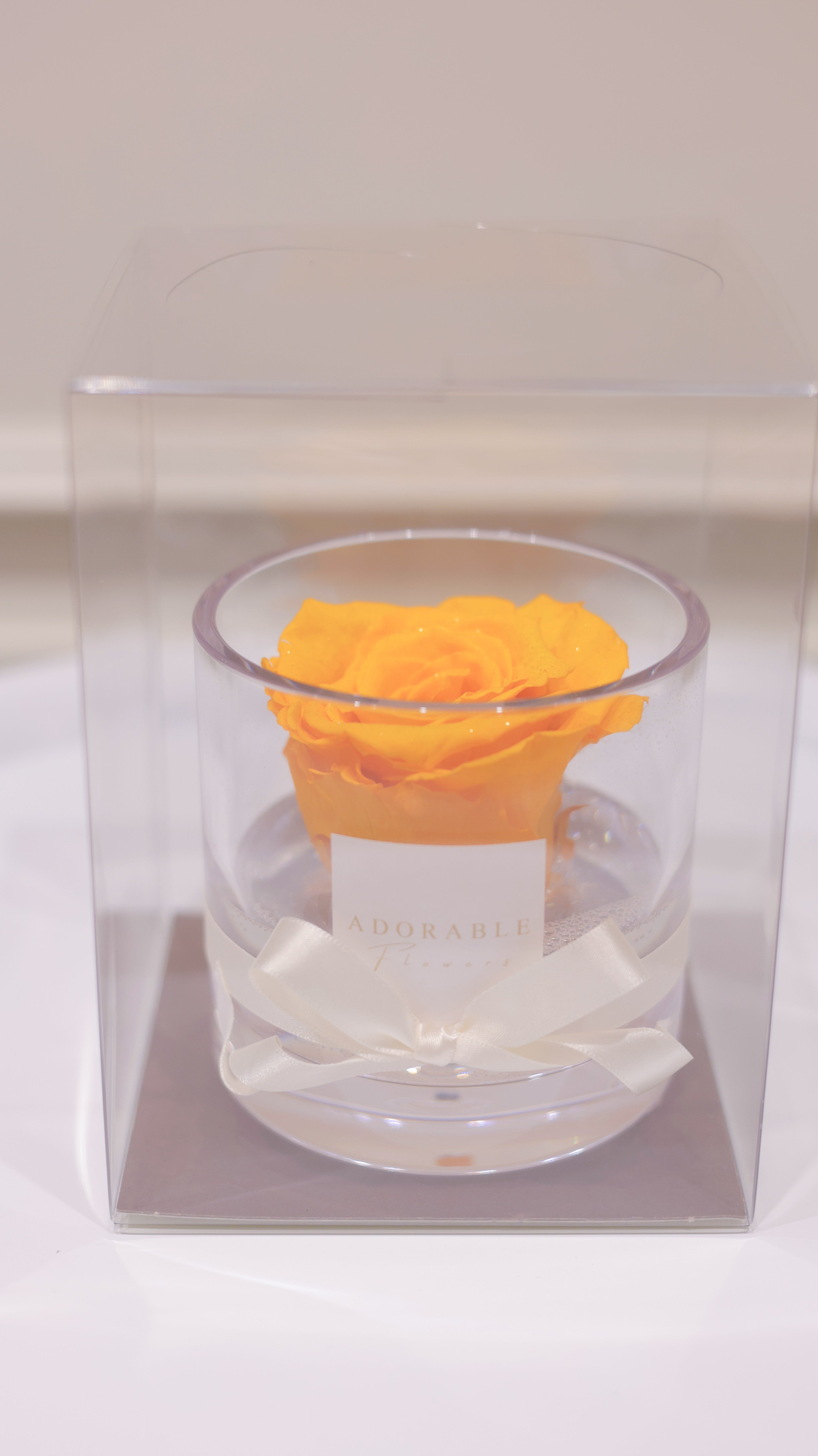 CREA Champagne  Citrine Noble（シトリン・ノーブル） M