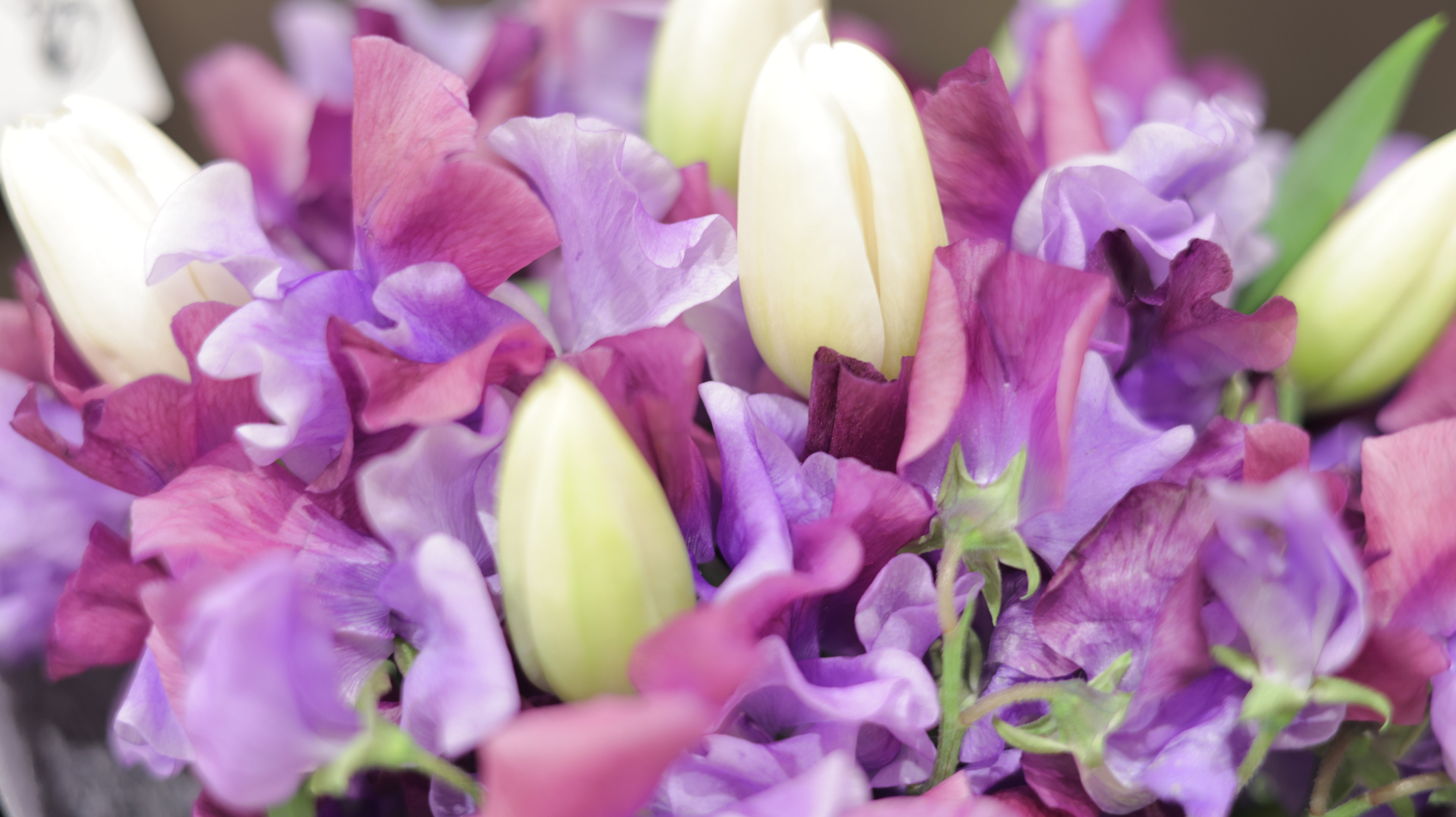 チューリップとスイートピーのブーケ