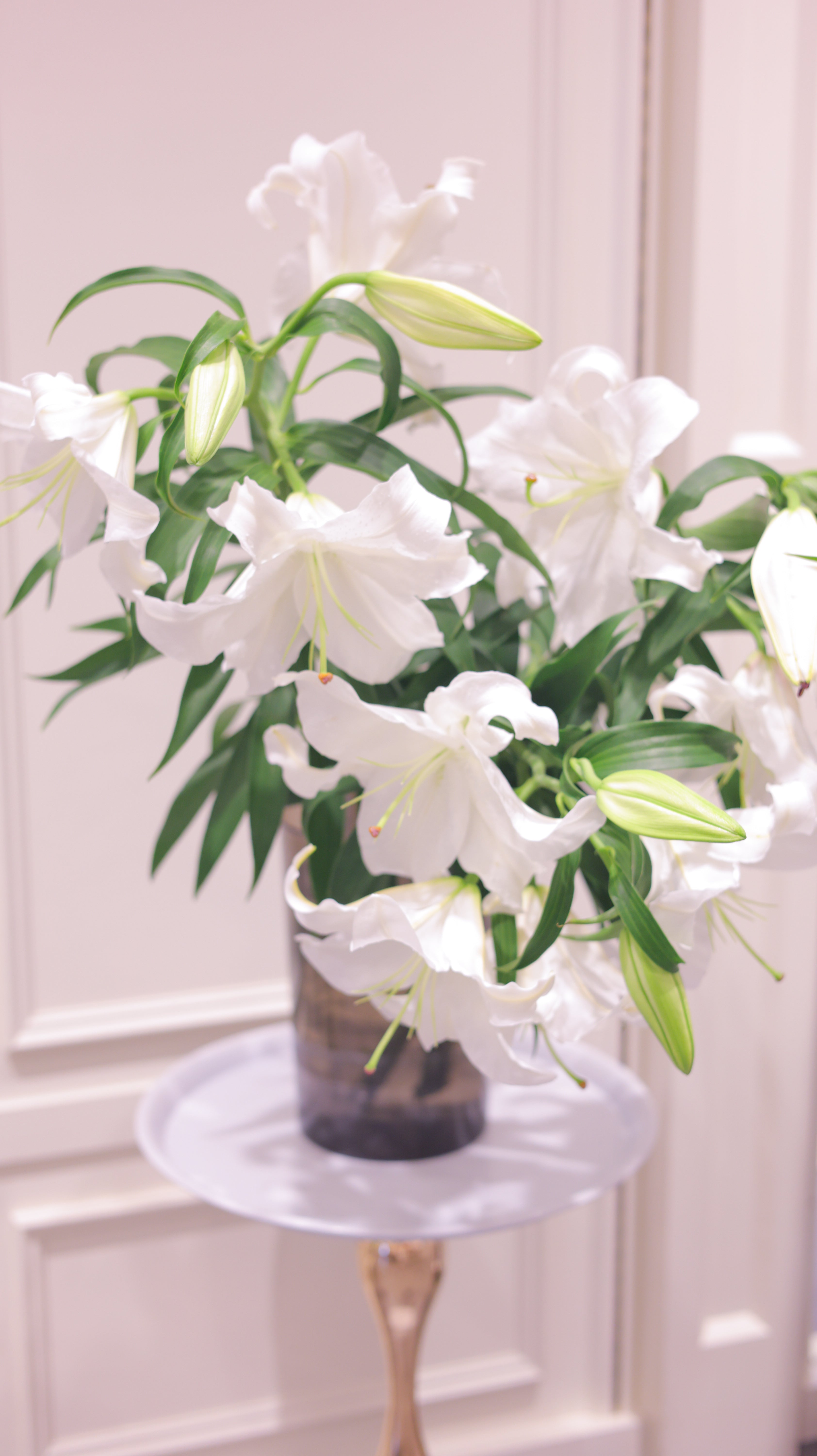Fleur de Casablanca
 | 生花　カサブランカ　3本セット
