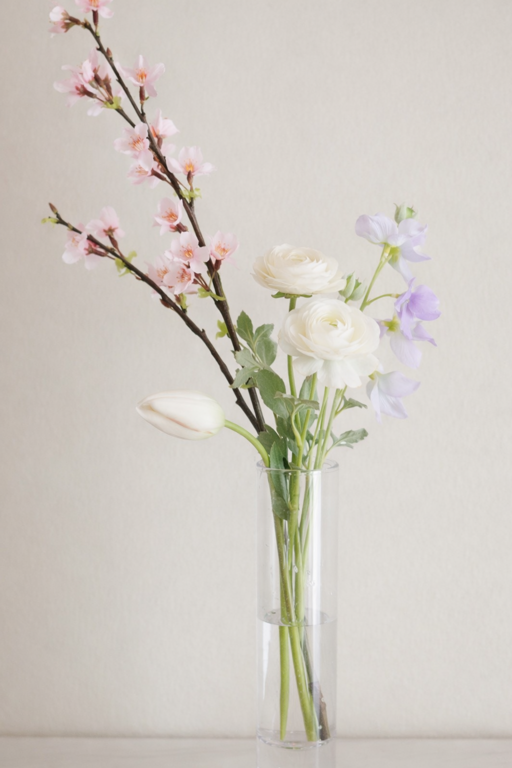 Silent Spring｜Dewdrop Sakura（桜）
