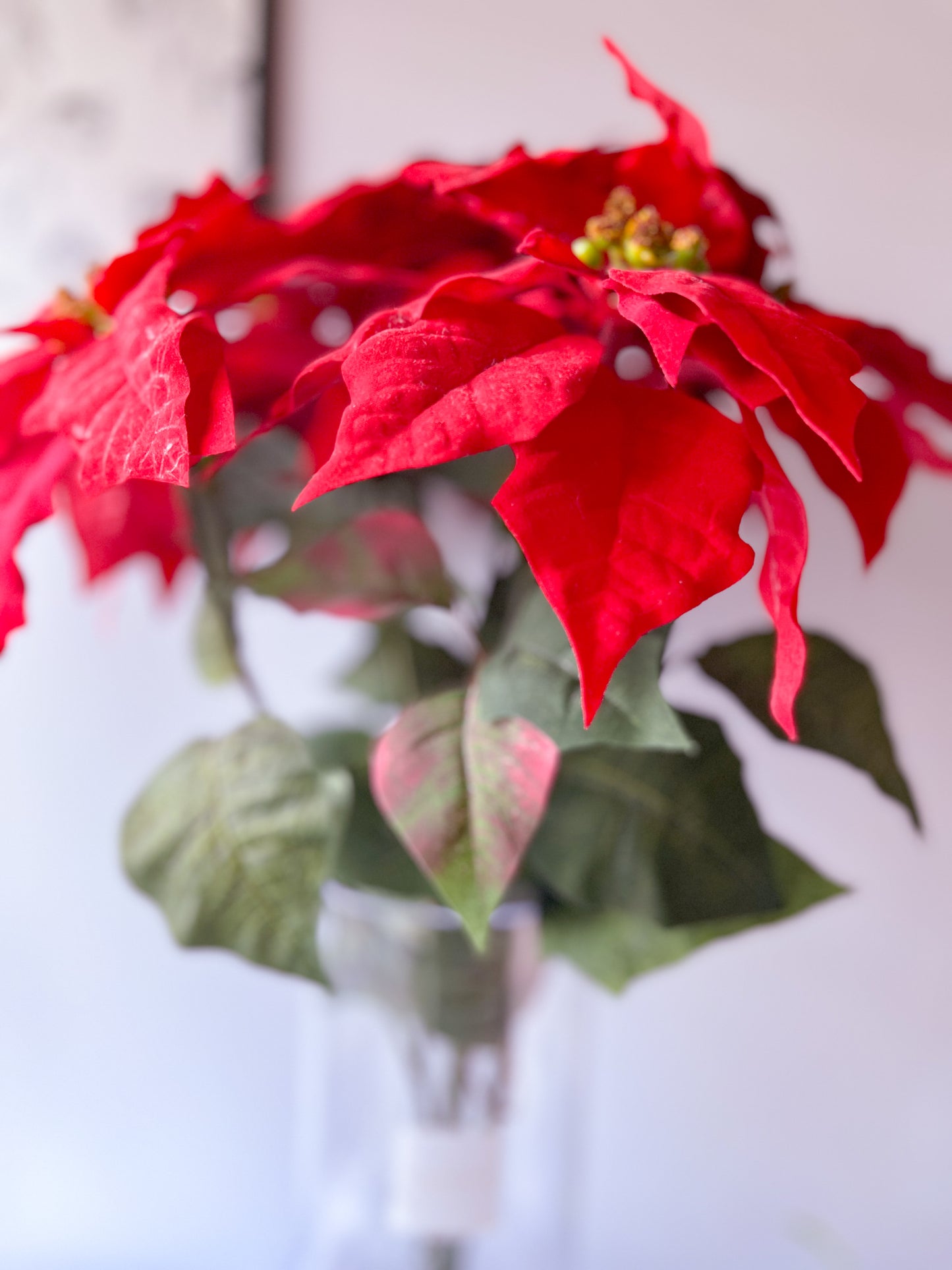 【お手入れ不要|花瓶付き】ポインセチア　造花