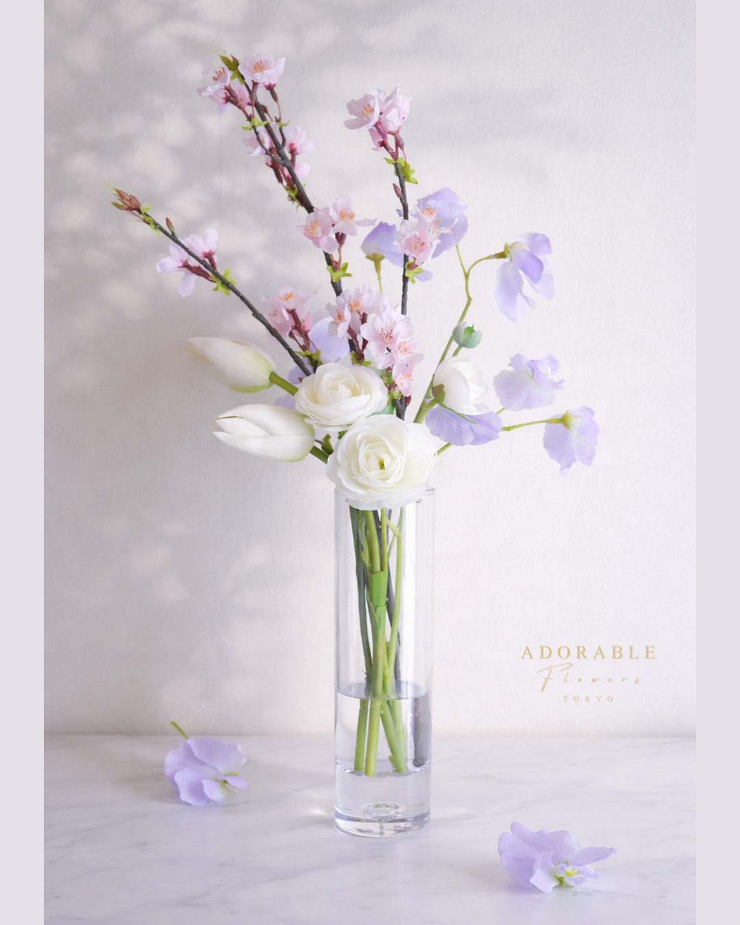 Silent Spring｜Dewdrop Sakura（桜）