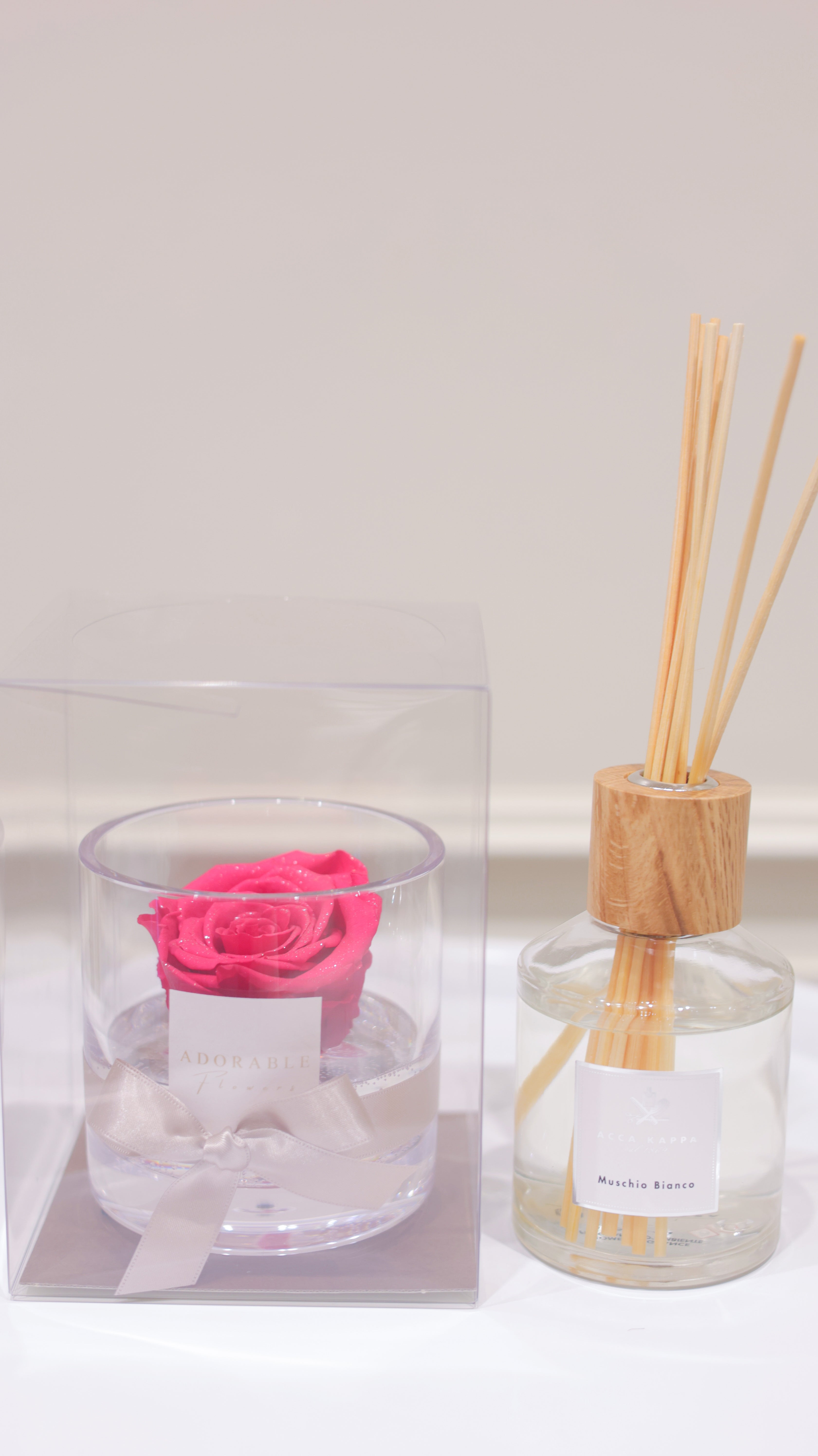 CREA Champagne  Fuchsia Noble（フューシャ・ノーブル） M