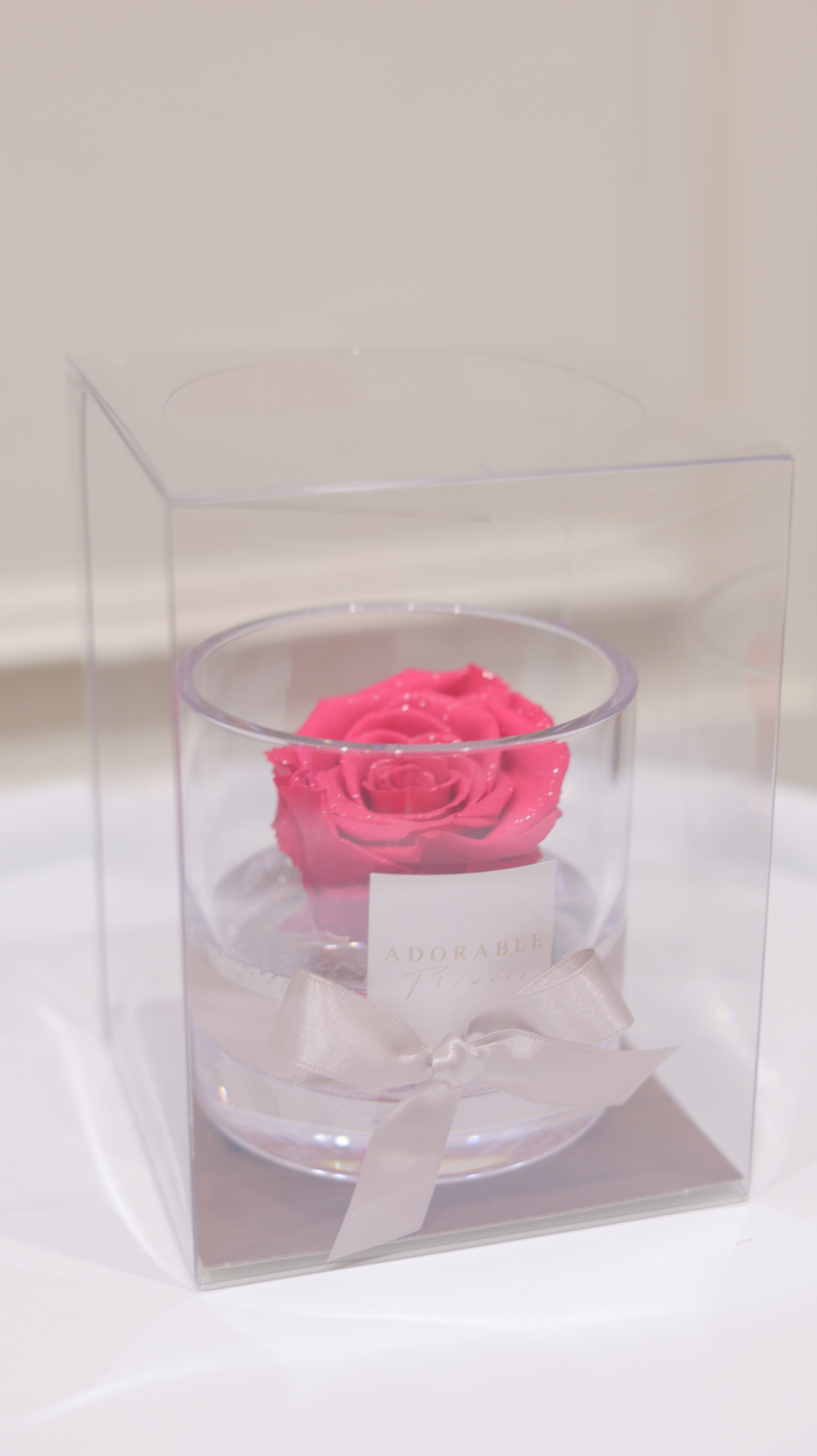 CREA Champagne  Fuchsia Noble（フューシャ・ノーブル） M