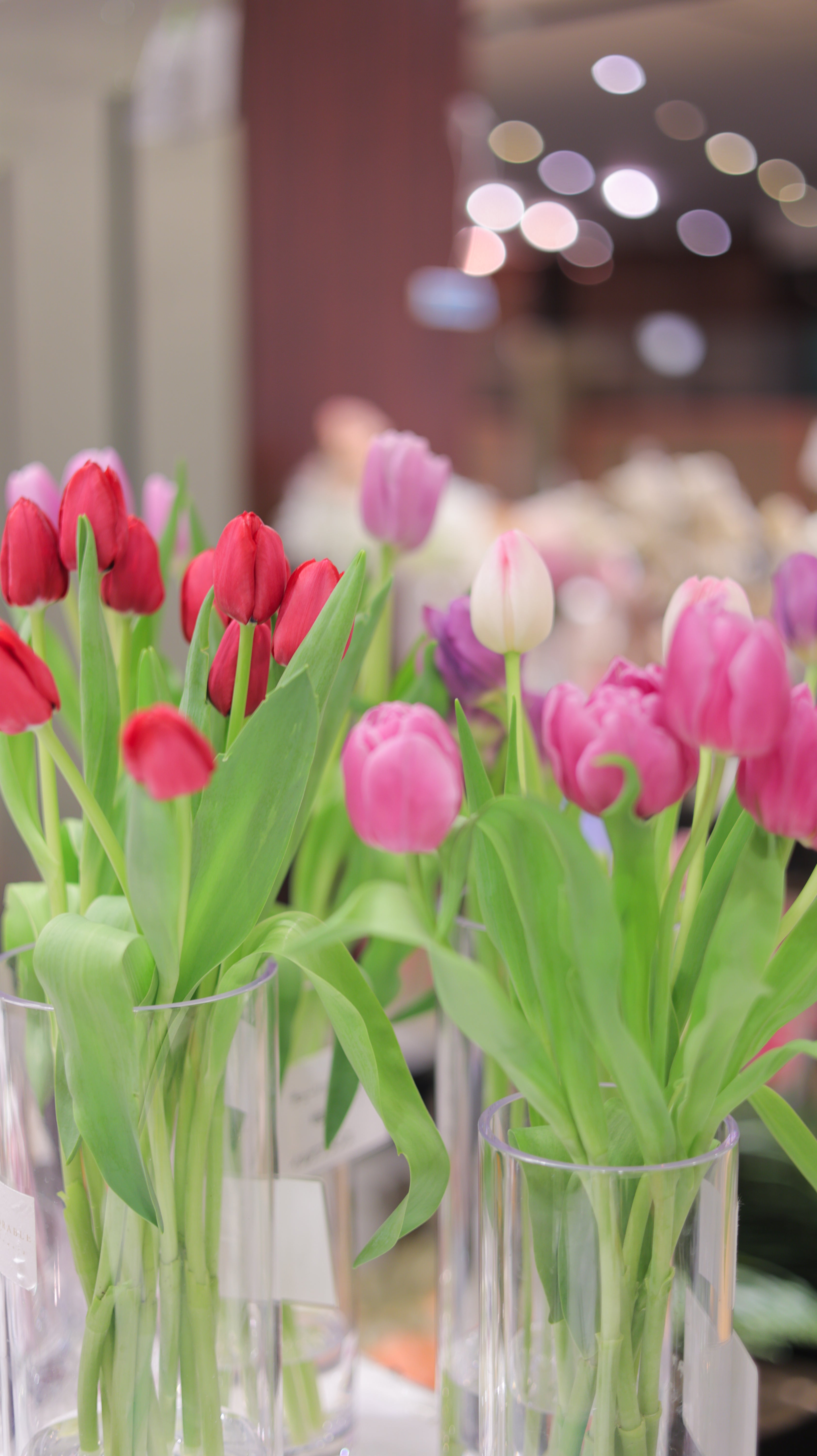 We love Tulips 🌷｜チューリップを束ねる会